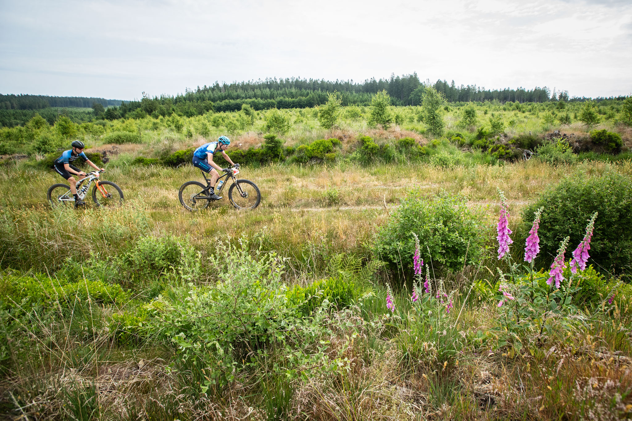 BAMS 2023 | Raid des Hautes Fagnes: de vernieuwing van een monument