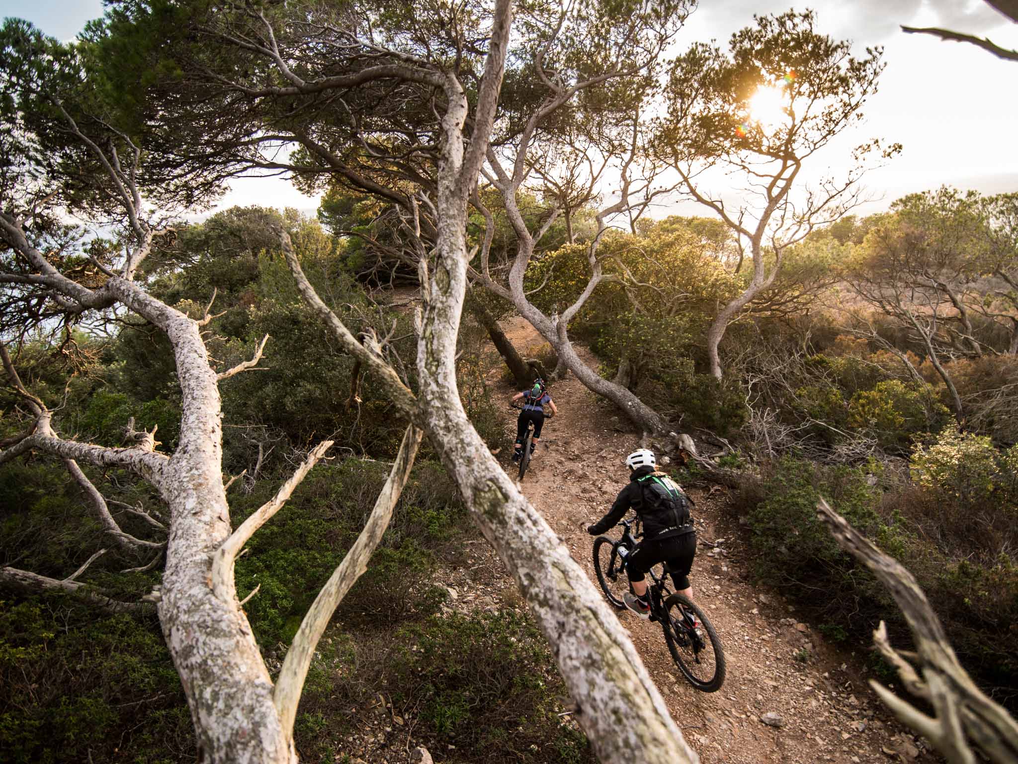 Porquerolles: per boot en per fiets