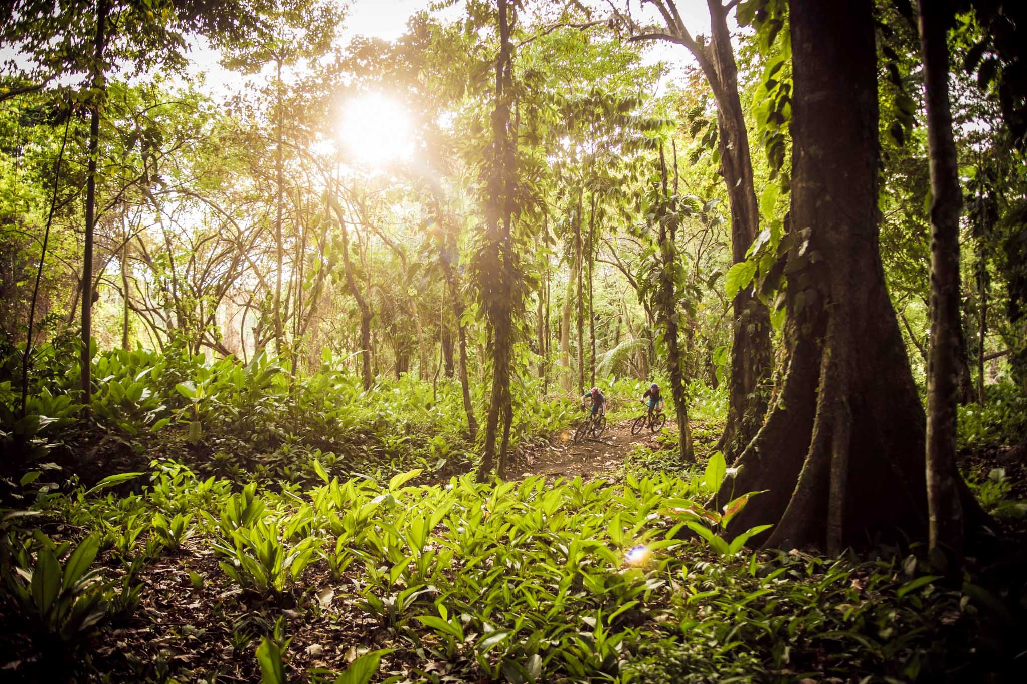 Costa Rica: Pura Vida