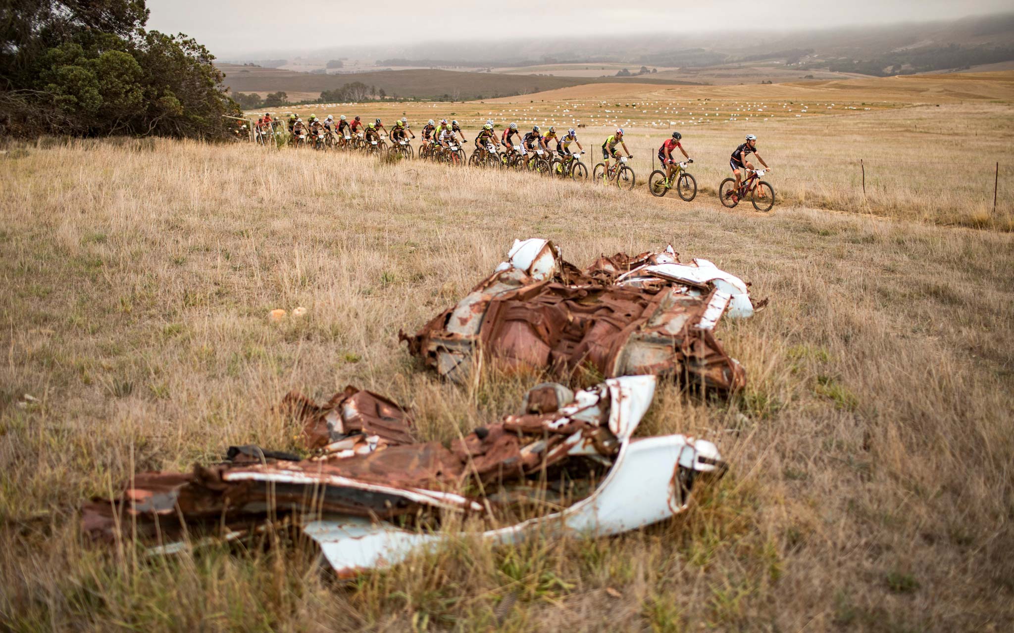 Photo by Nick Muzik/Cape Epic/SPORTZPICS