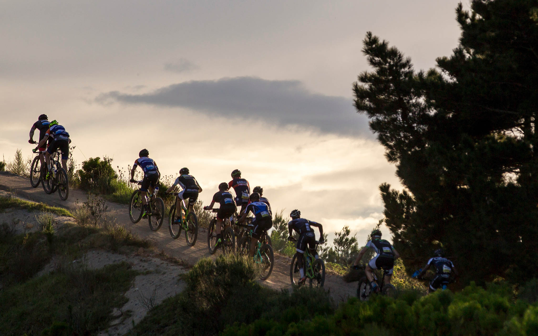 Photo by Nick Muzik/Cape Epic/SPORTZPICS