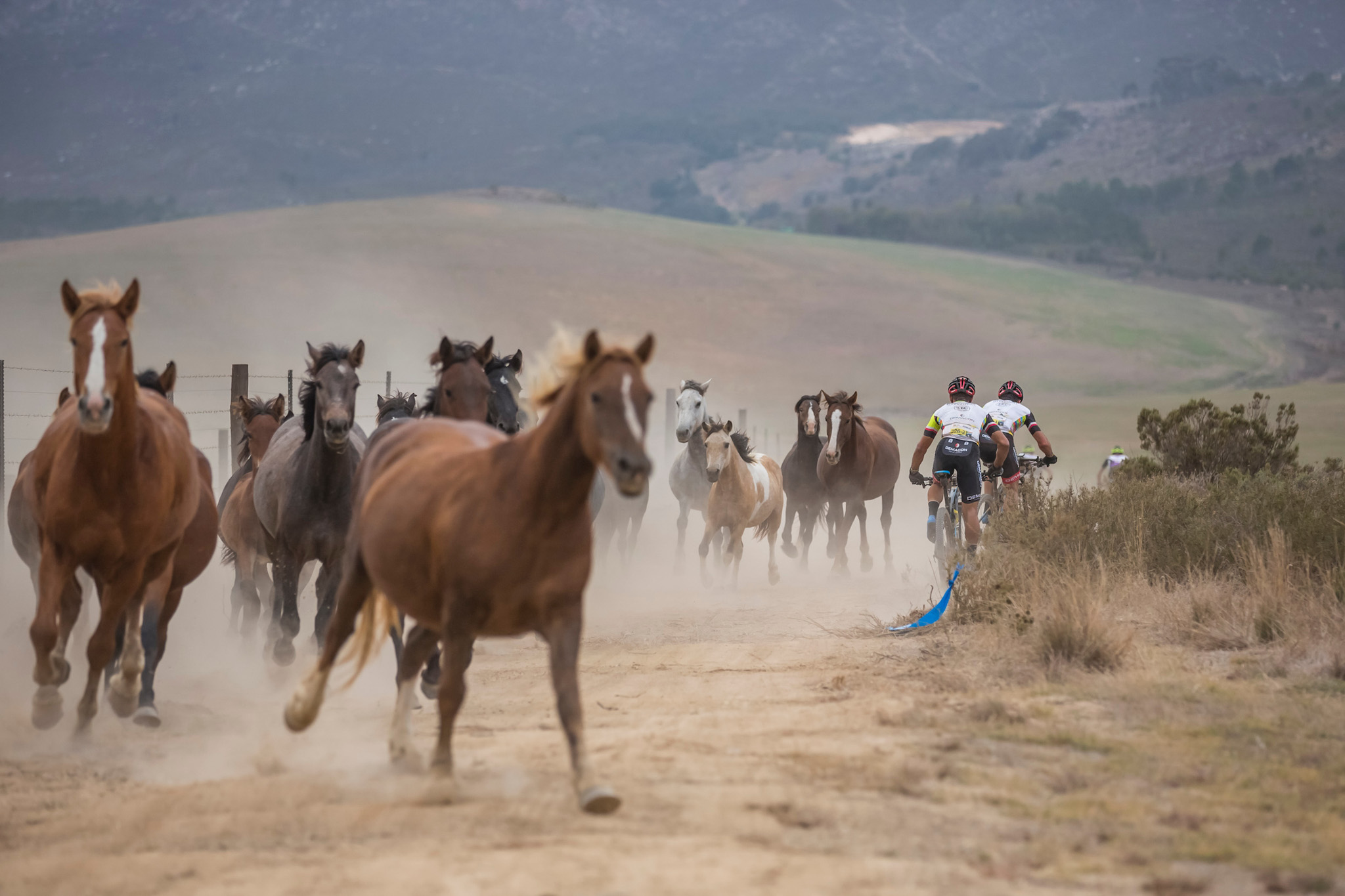 Photo by Dominic Barnardt/Cape Epic/SPORTZPICS