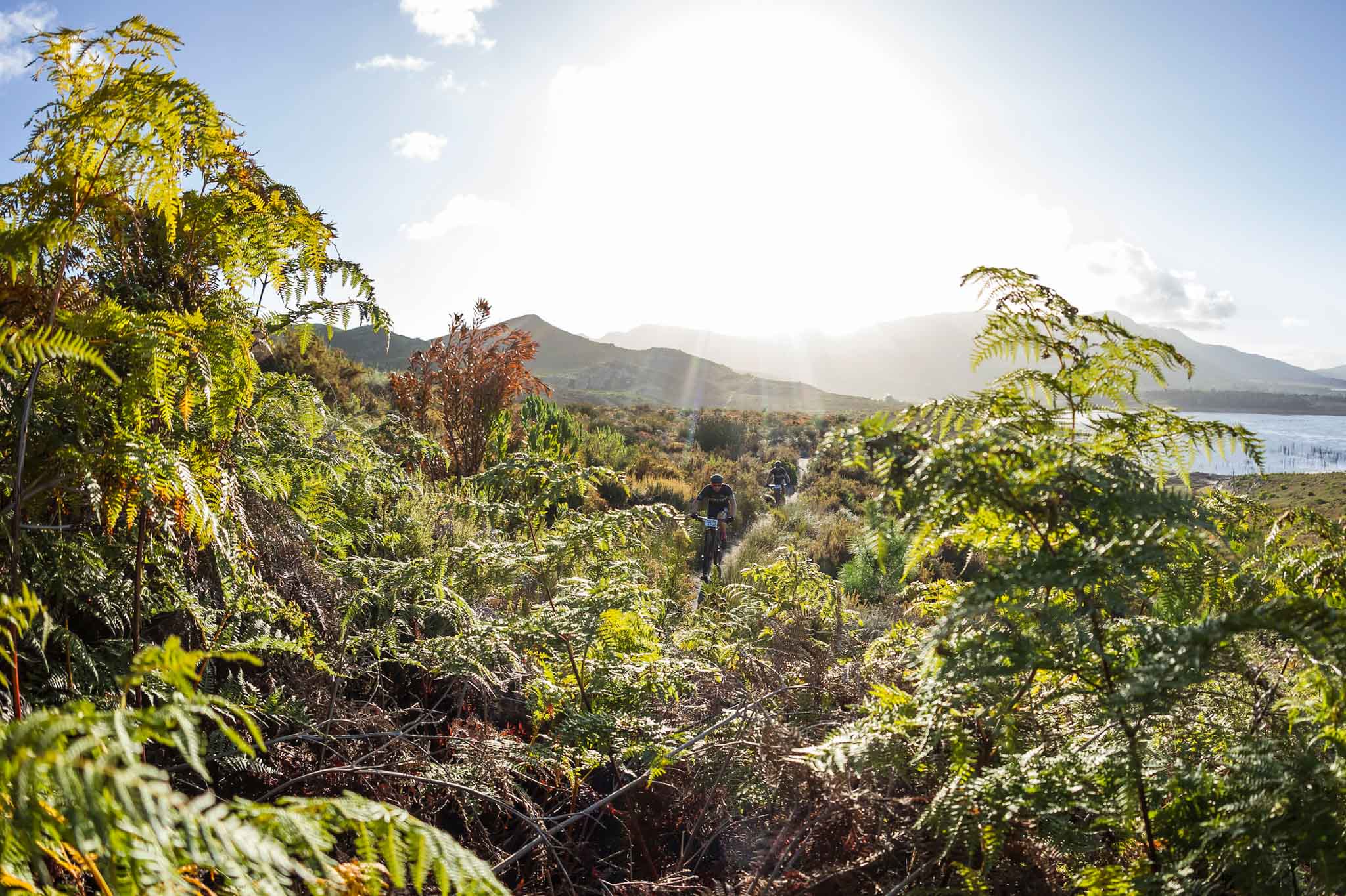 Photo by Dominic Barnardt/Cape Epic/SPORTZPICS