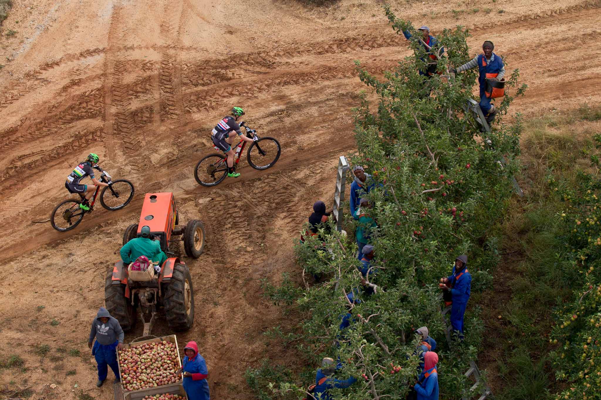 Photo by Greg Beadle/Cape Epic/SPORTZPICS