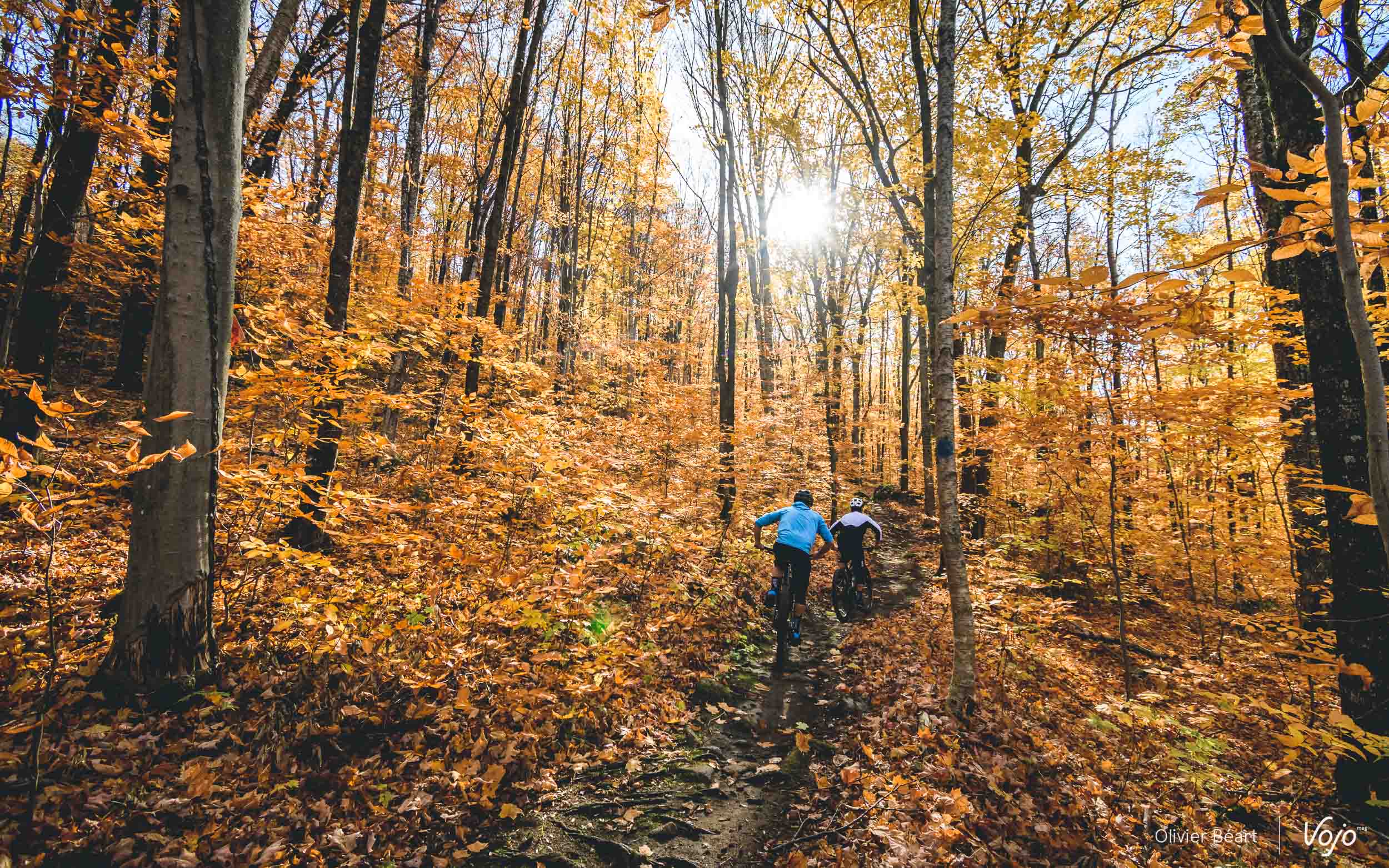 Ontdekking | Indian summer in Quebec #2: Lac-Beauport en Sentiers du Moulin