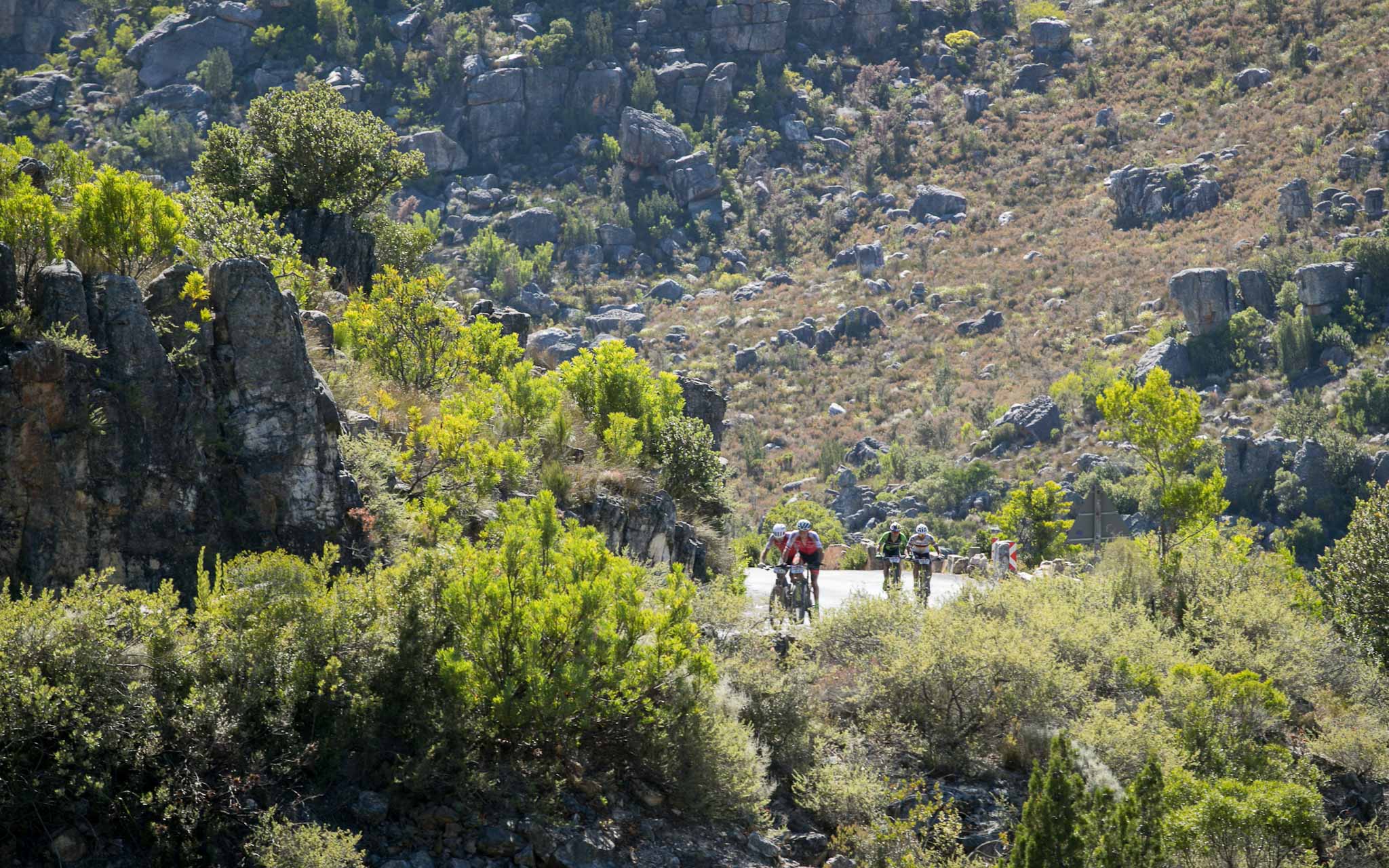 Photo by Mark Sampson/Cape Epic/SPORTZPICS