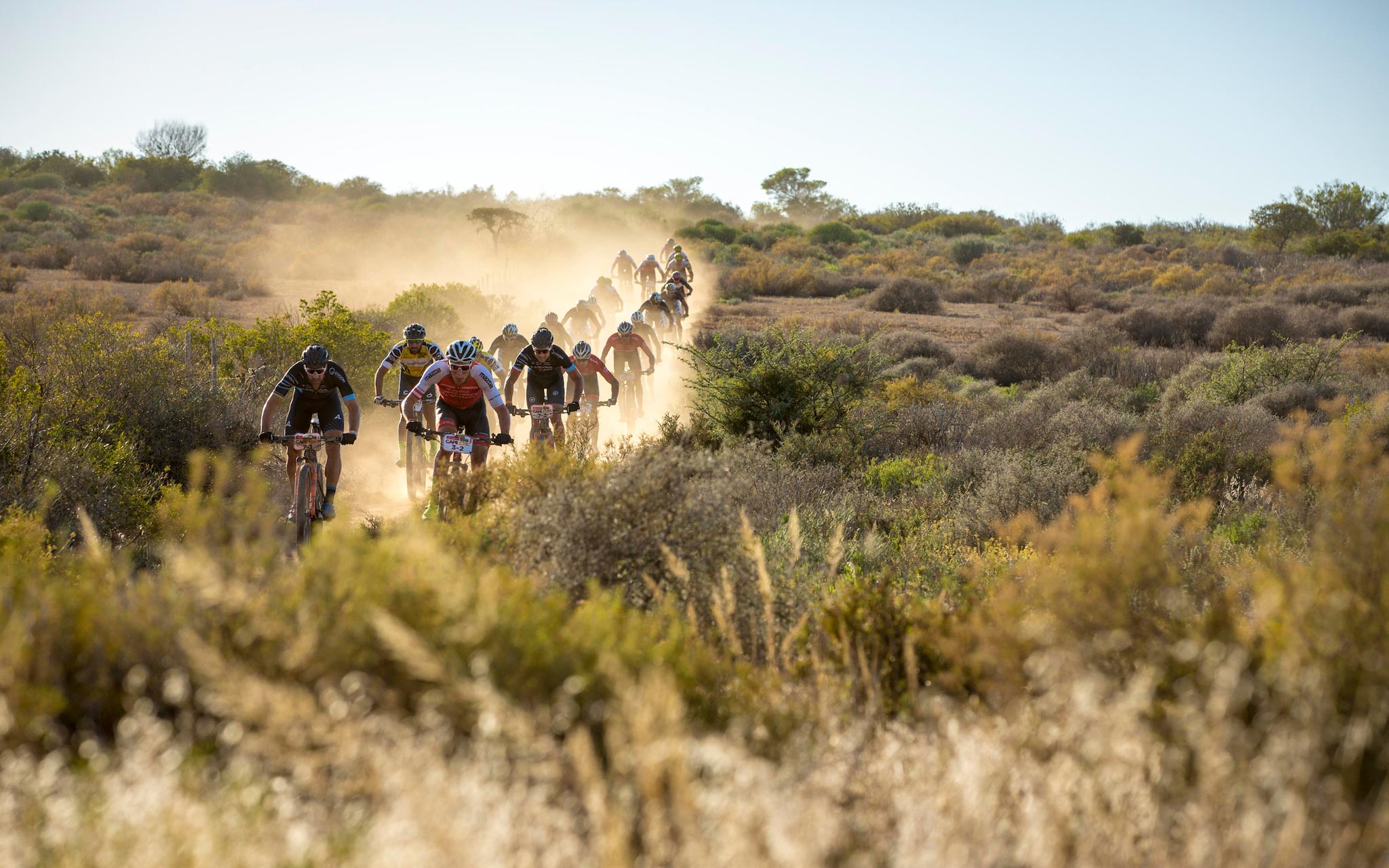 Photo by Nick Muzik/Cape Epic/SPORTZPICS