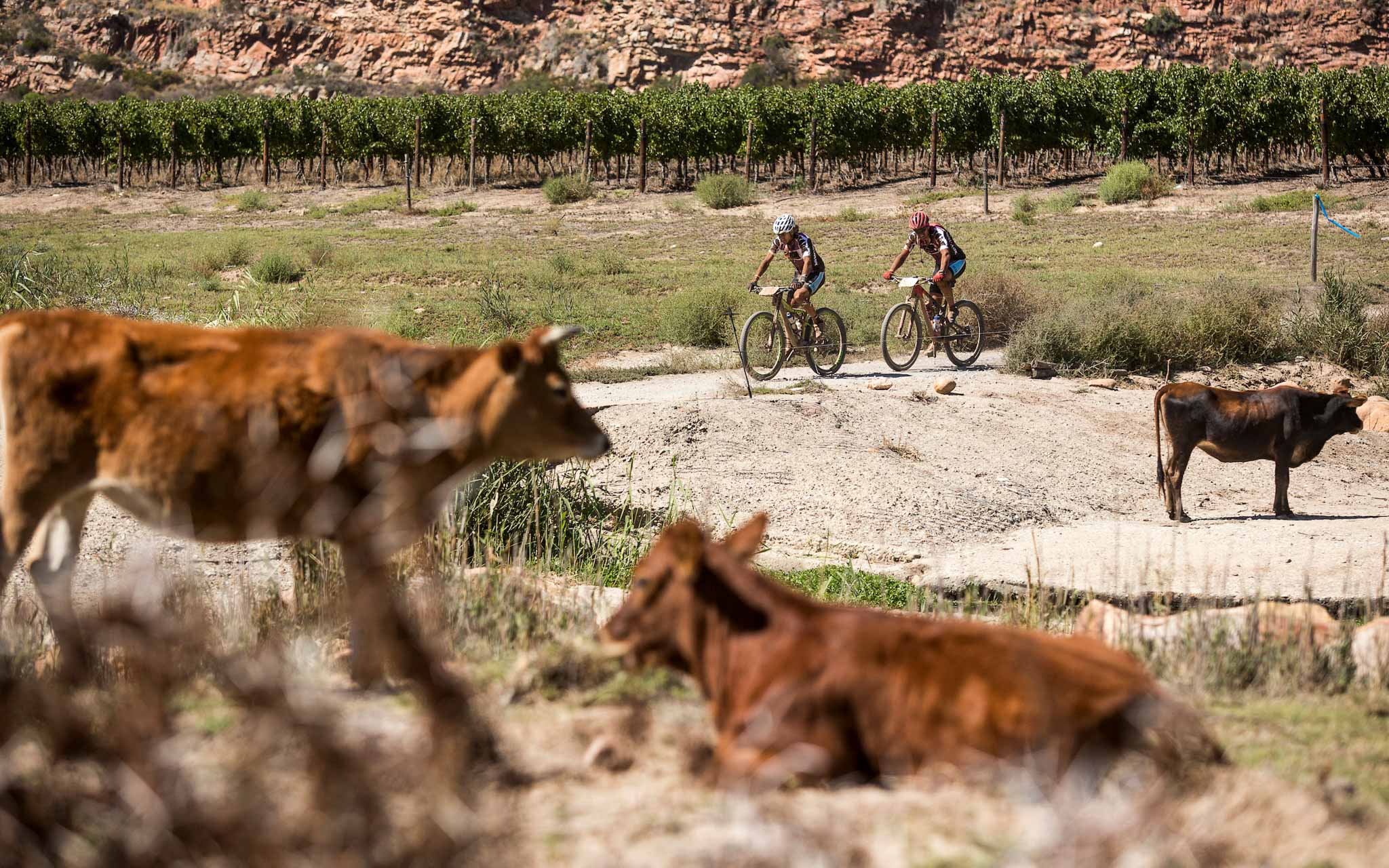 Photo by Sam Clark/Cape Epic/SPORTZPICS