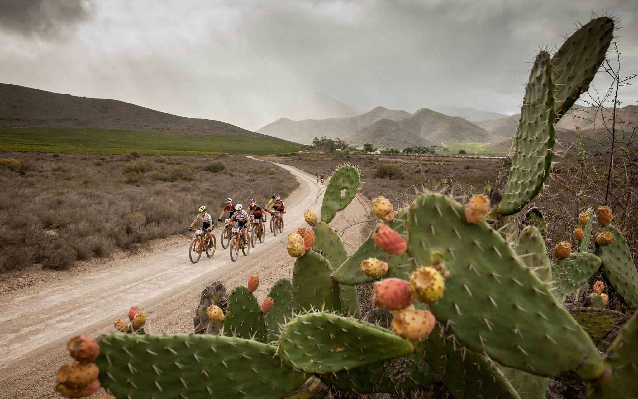 Photo by Sam Clark/Cape Epic/SPORTZPICS