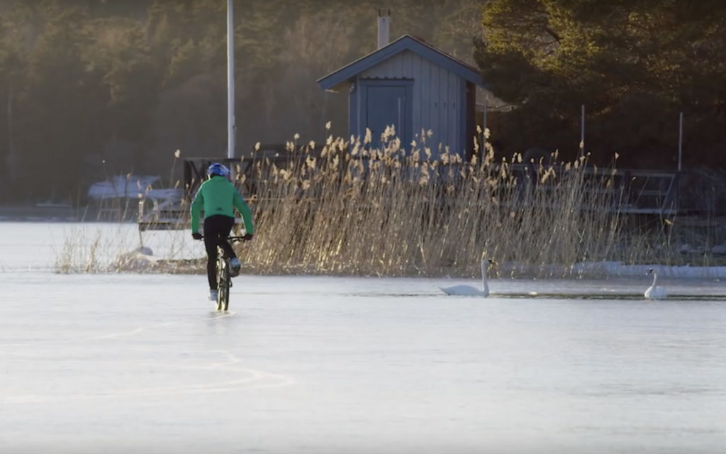 Nordic Survival – An Icy Adventure