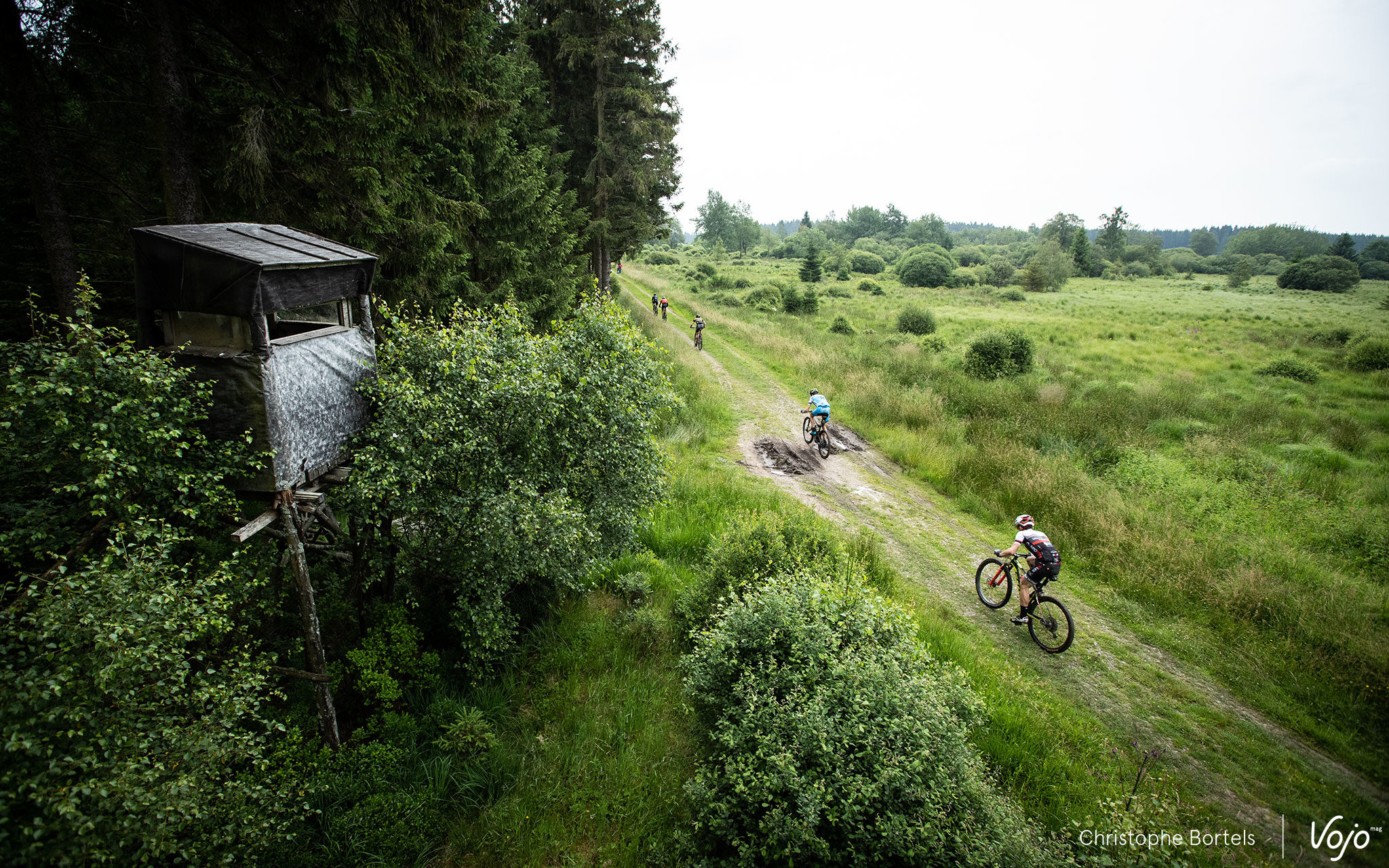 Kalender 2019: MTB marathons België en Nederland