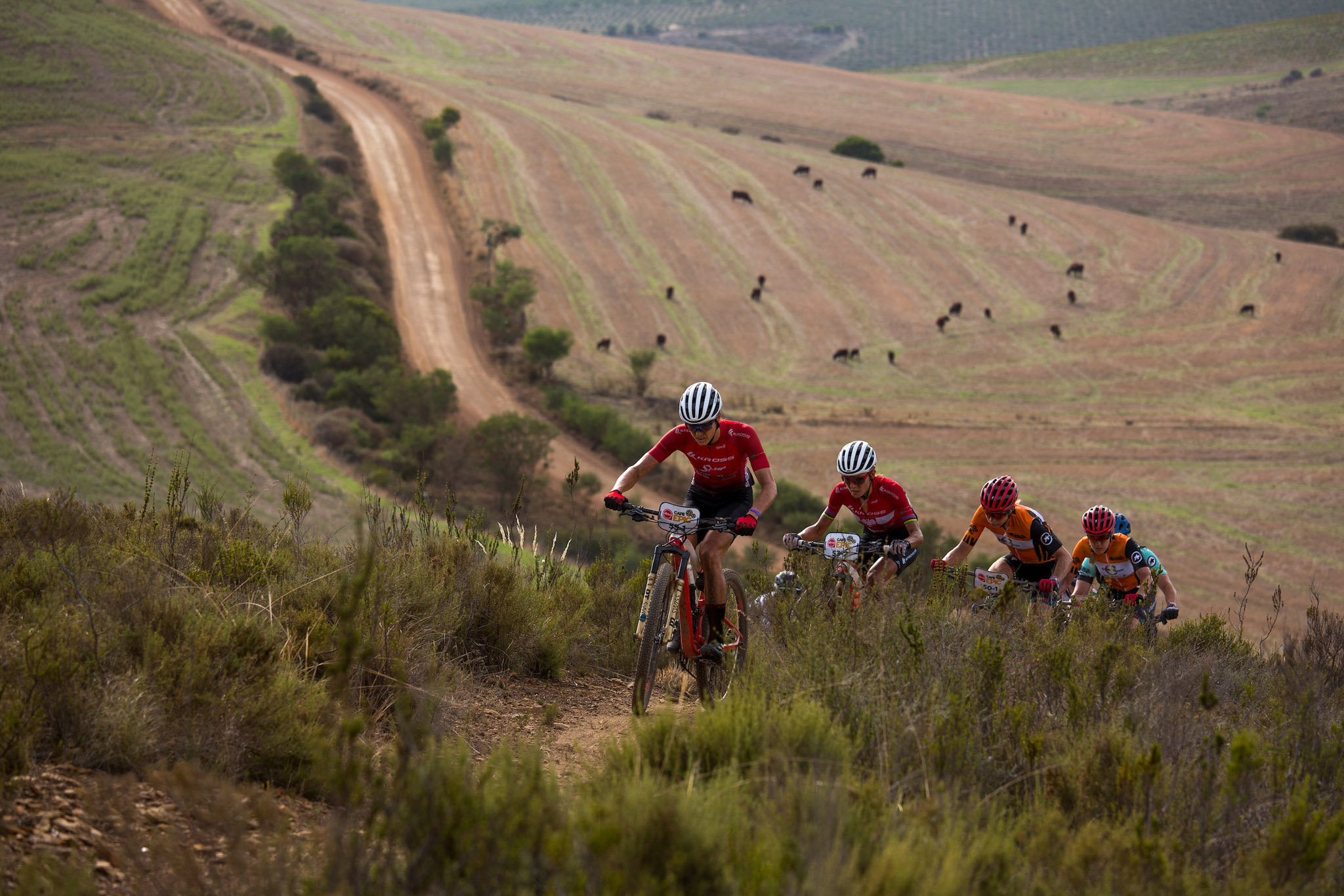 Copyright Dwayne Senior/Cape Epic