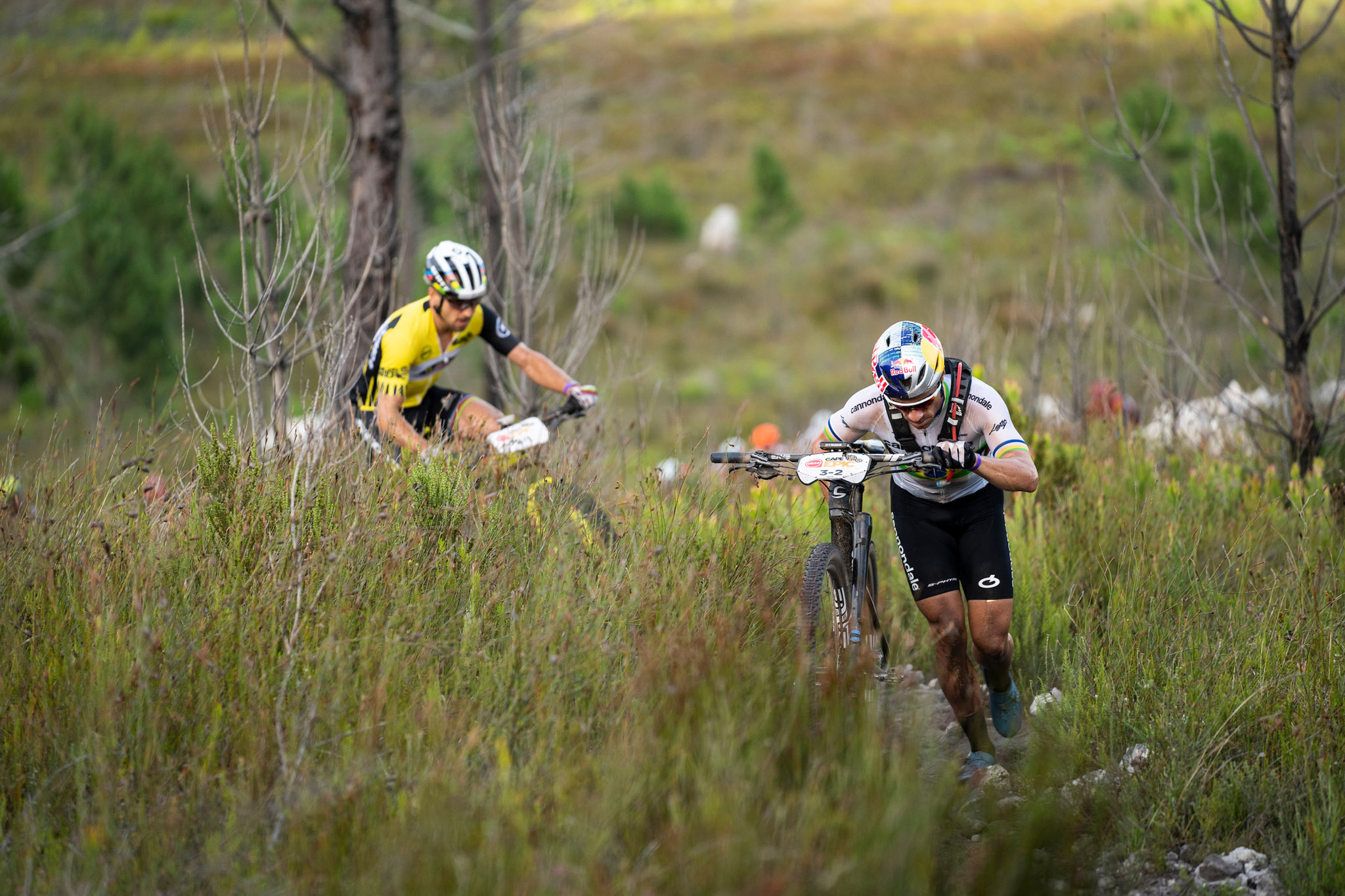 Copyright Nick Muzik/Cape Epic