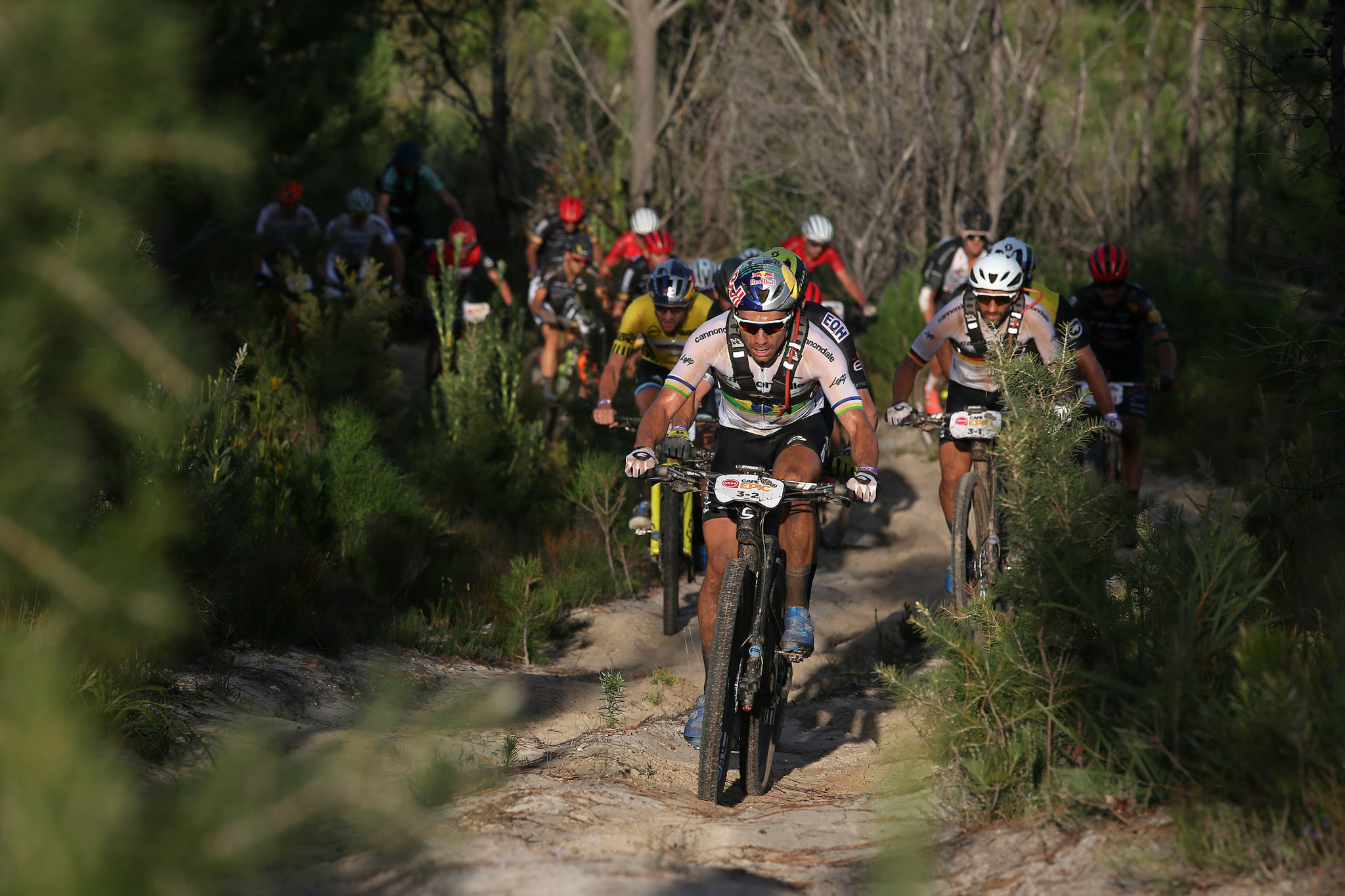 Copyright Shaun Roy/Cape Epic