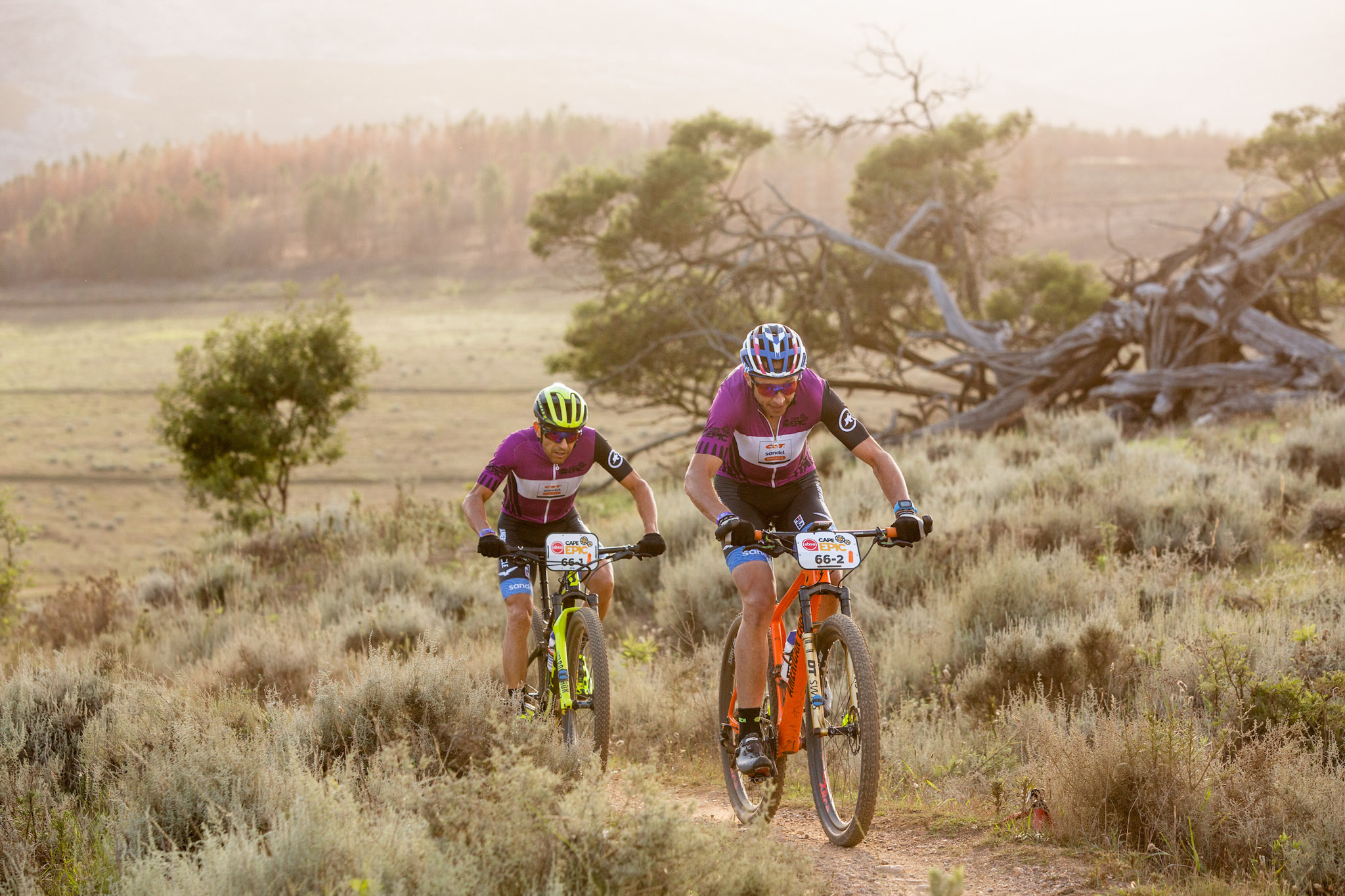 Copyright Sam Clark/Cape Epic