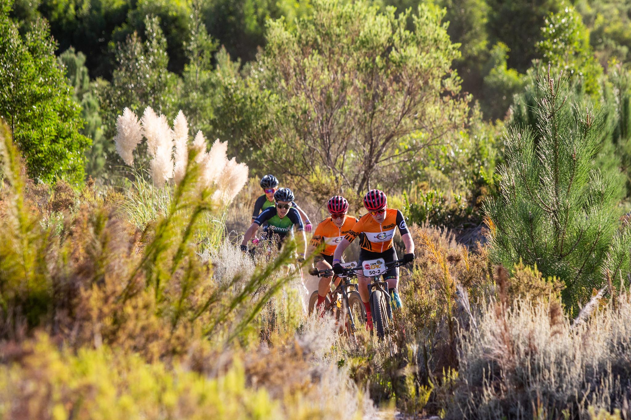 Copyright Sam Clark/Cape Epic