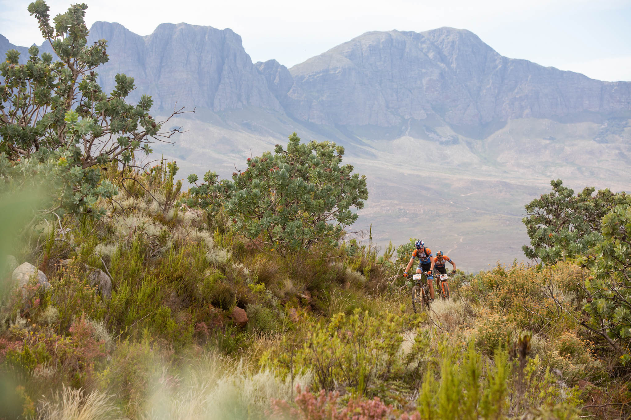 Copyright Sam Clark/Cape Epic