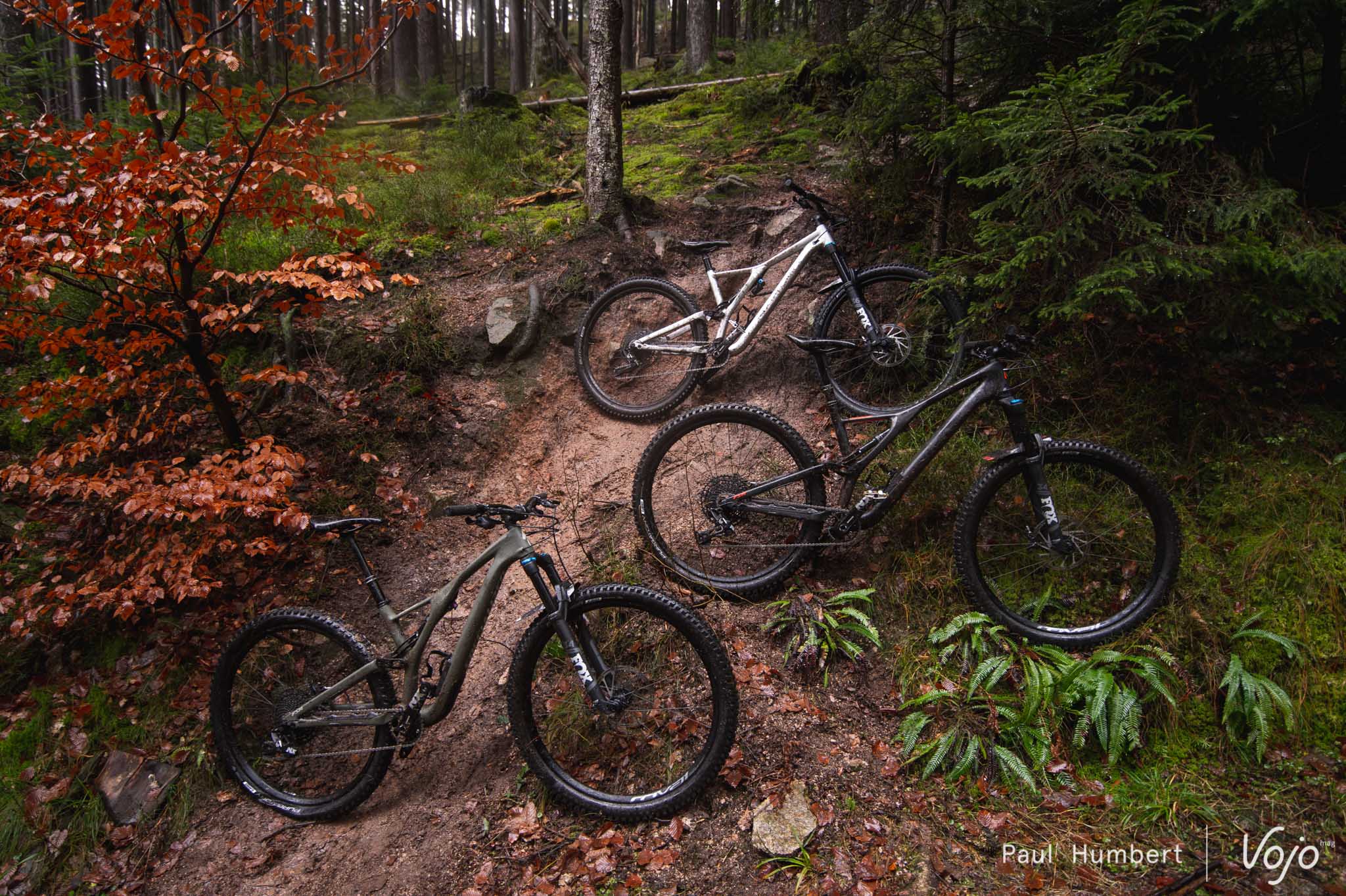 Test gamma | Specialized Stumpjumper ST, LT en EVO: een familie met drie karakters