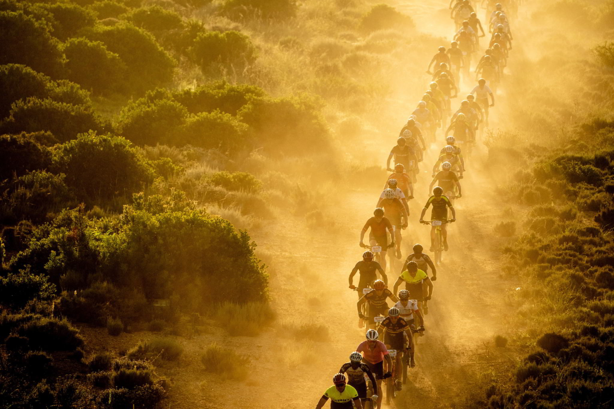 De Cape Epic 2020 gaat niet door!