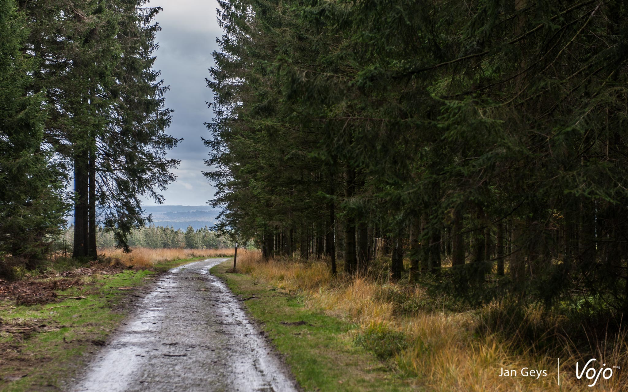 Trek presents The Ride Gravel: vijfdaags gravelavontuur van de Vogezen naar de Cauberg