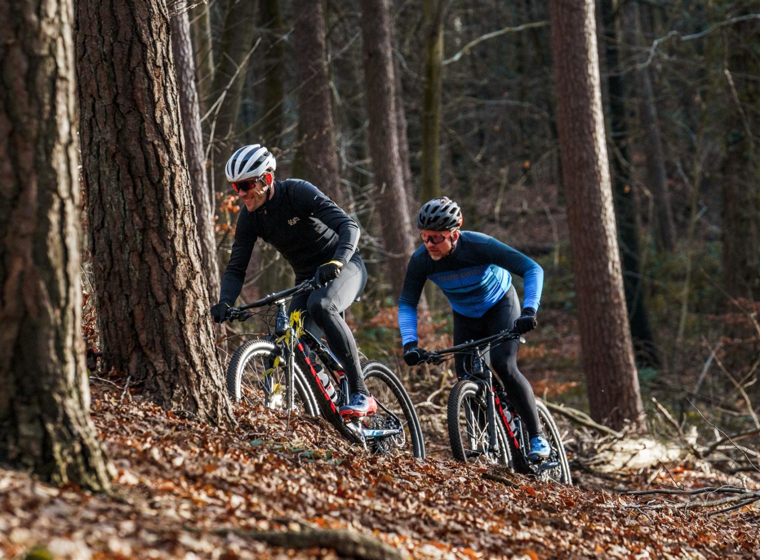 trek benelux harderwijk