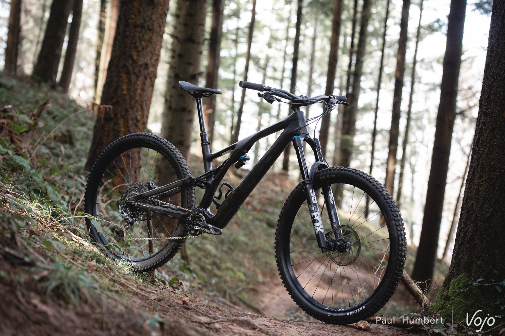 Test | Specialized Stumpjumper Evo Expert: kruisbestuiving op zijn best