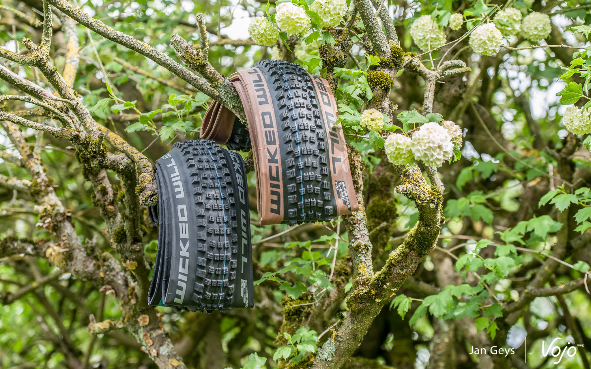 Test nieuw | Schwalbe Wicked Will: de ontbrekende schakel