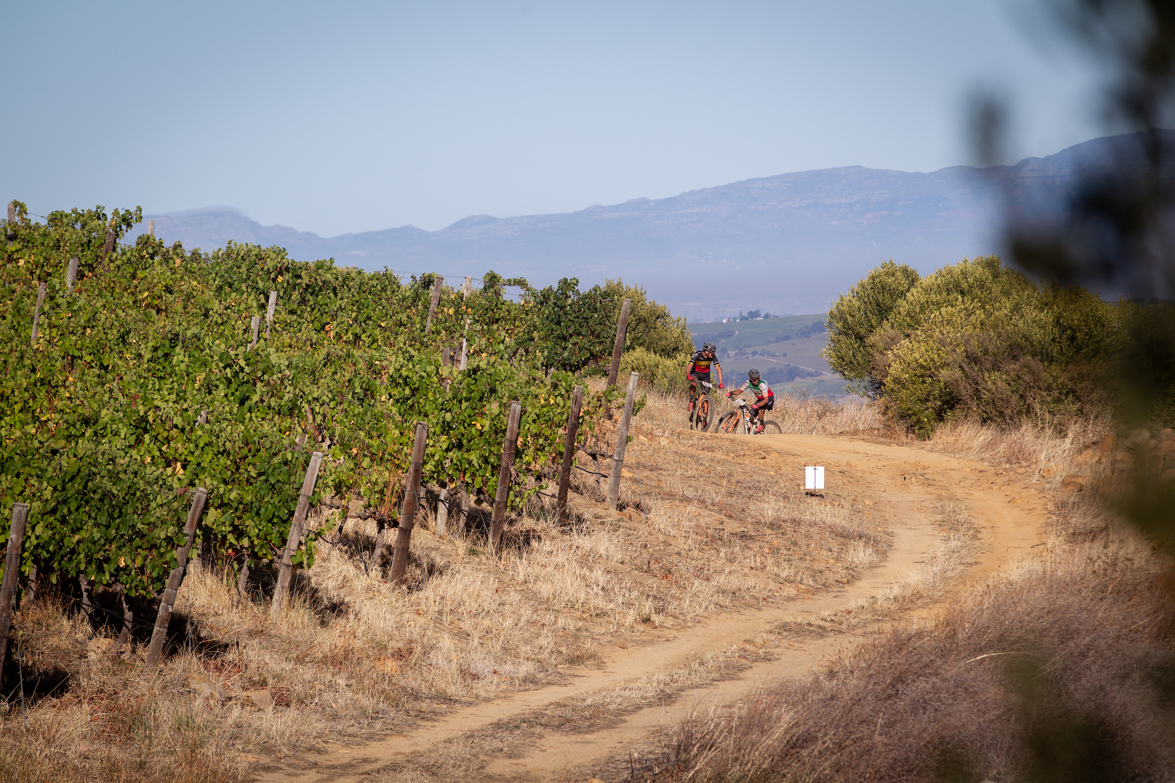 Photo by Nick Muzik/Cape Epic