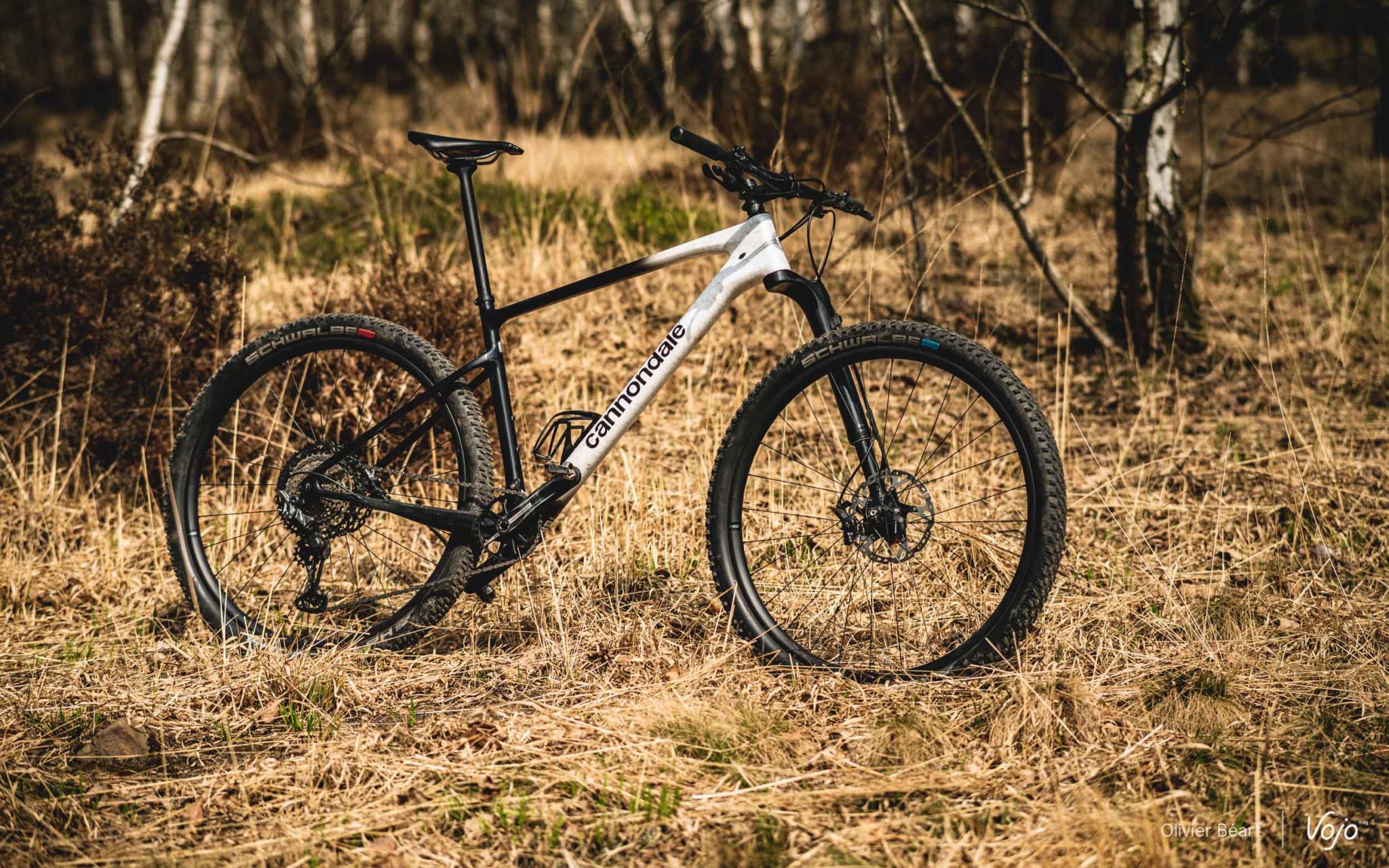 Test Cannondale HT: de hardtail revisited - Vojo Magazine