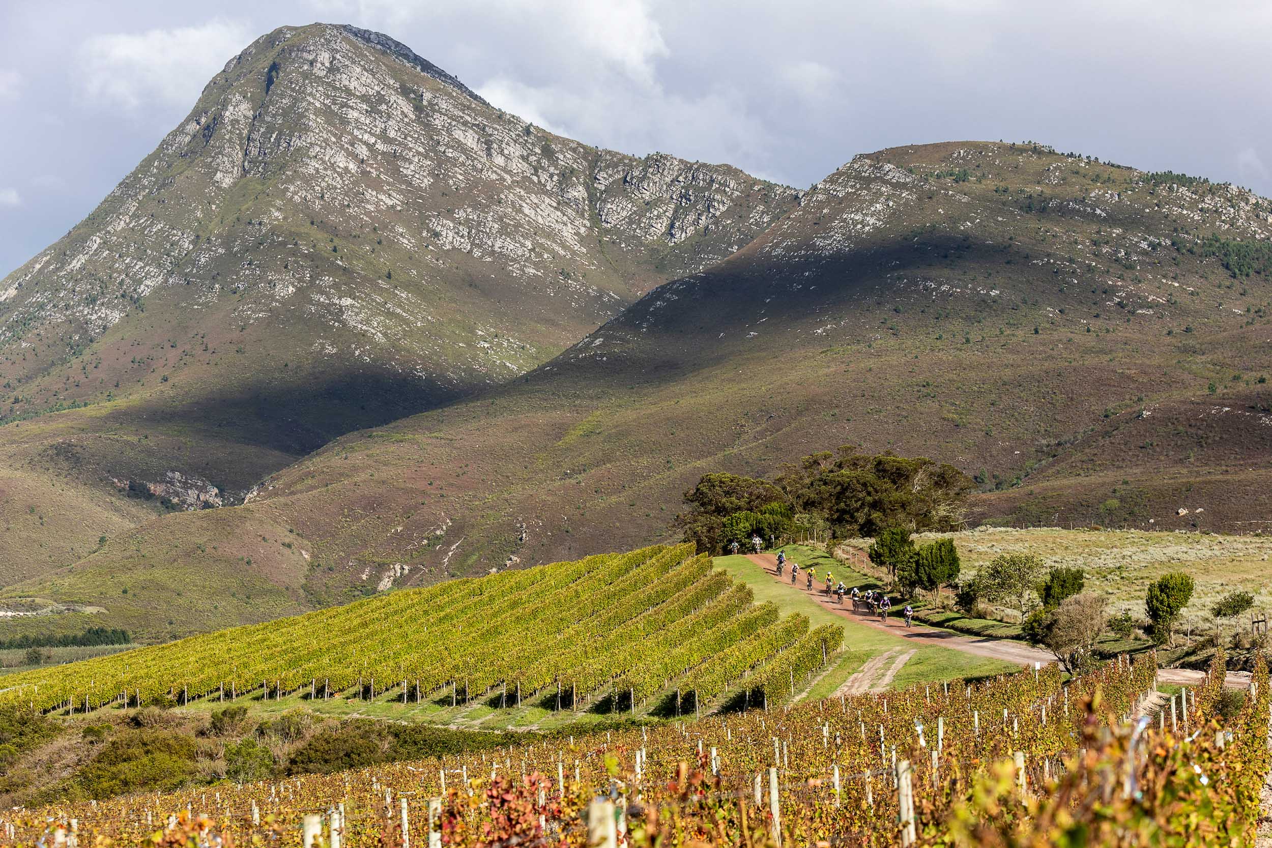 Photo by Sam Clark/Cape Epic