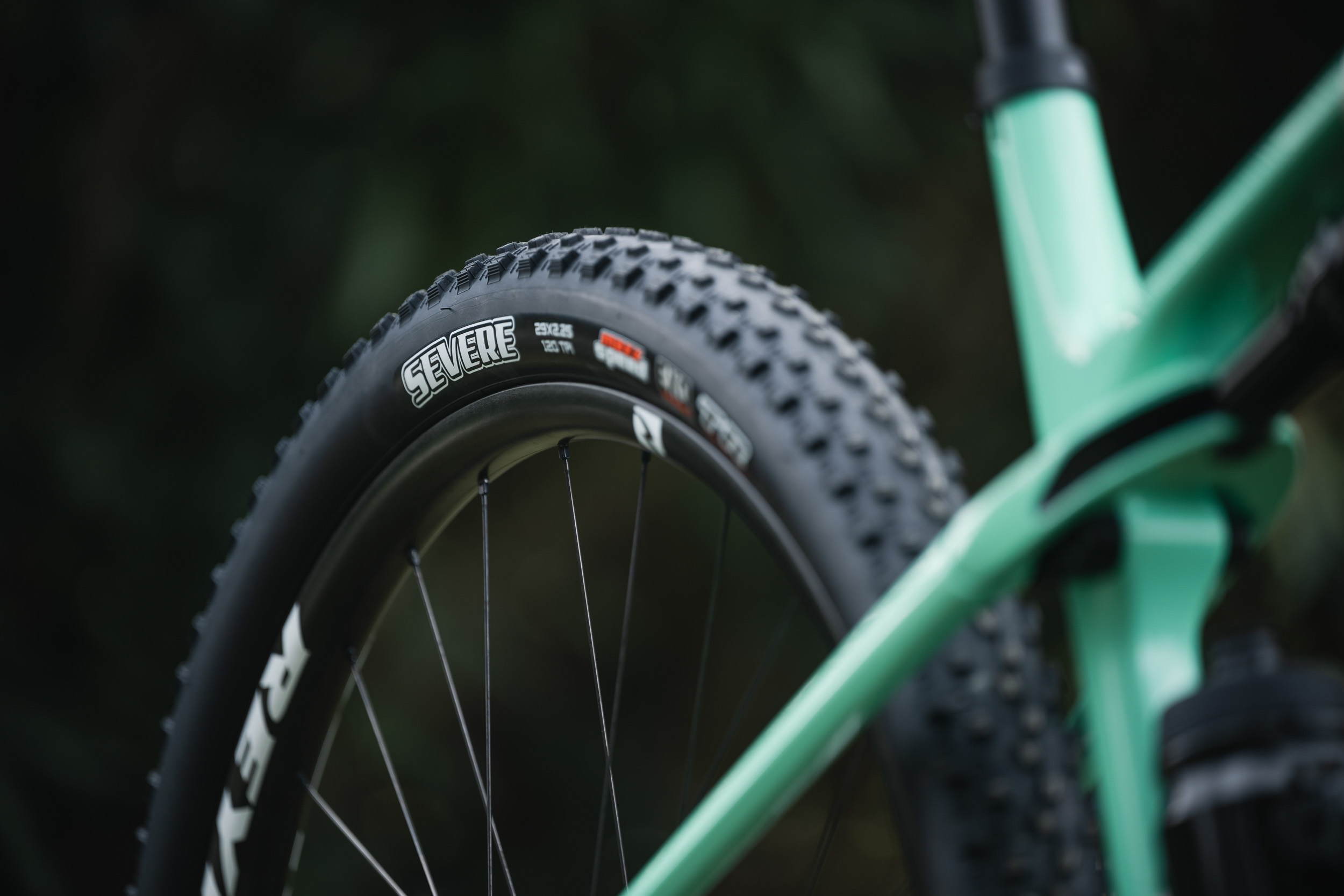 maxxis emtb