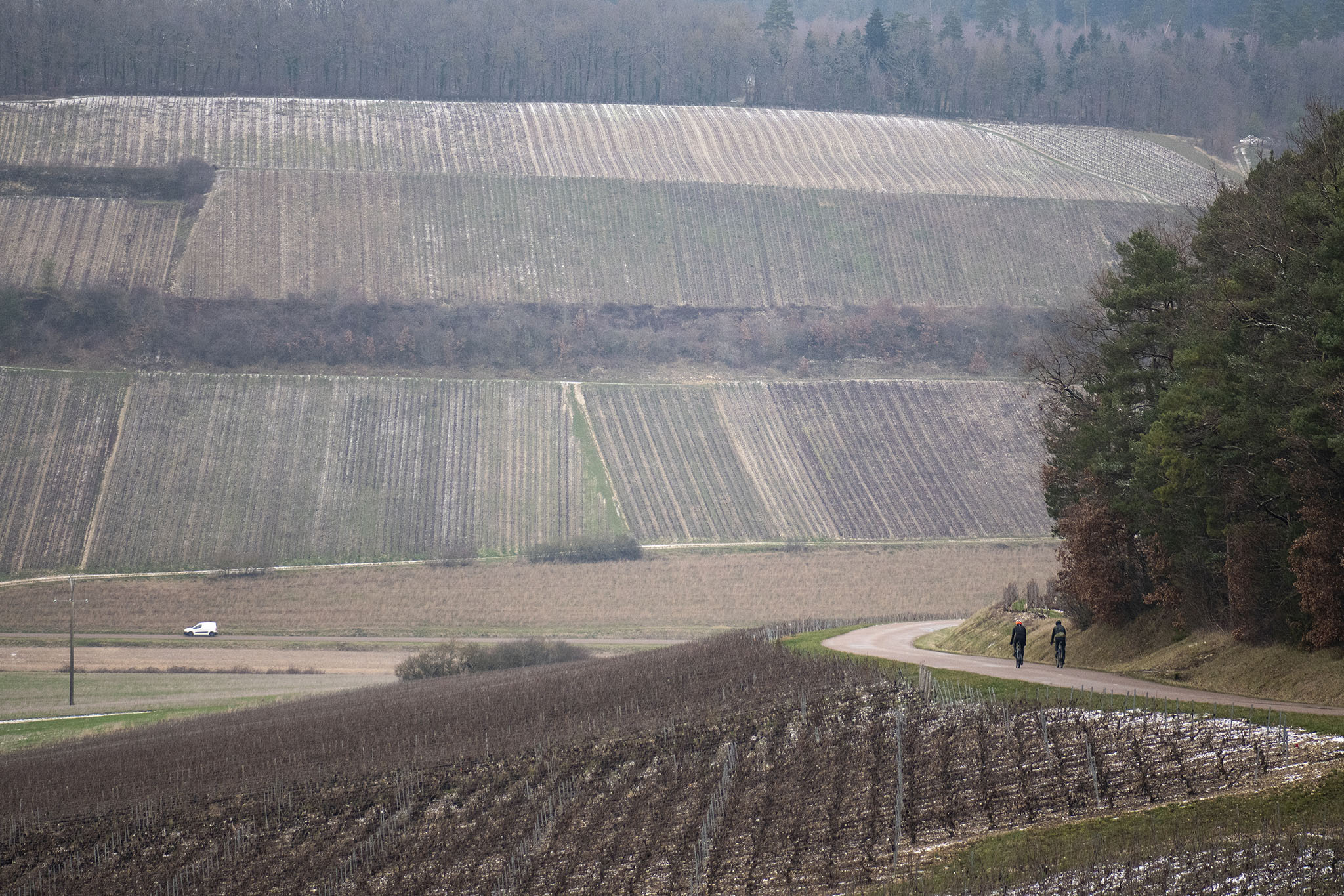 Tour-de-France-2024.-Gravel-chemins-blancs-17bd.jpg