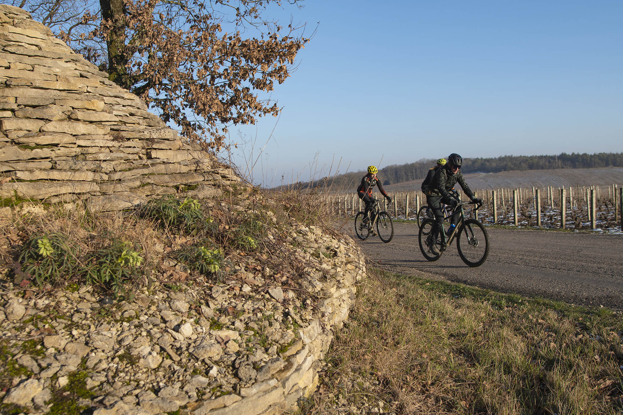 https://www.vojomag.nl/app/uploads/2024/01/Tour de France 2024. Gravel chemins blancs 29bd.jpg