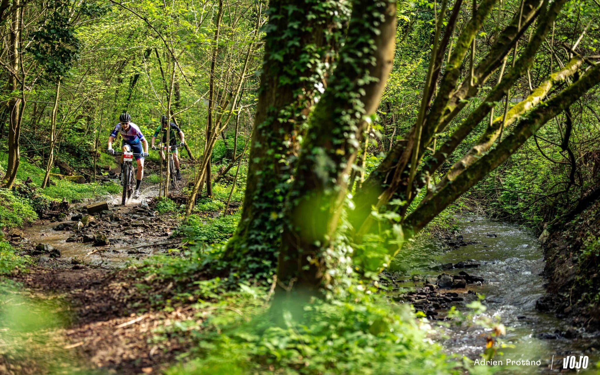 https://www.vojomag.nl/app/uploads/2024/04/Belgium Bike Festival 2024 Vojo A.Protano 901 26 2048x1280.jpg