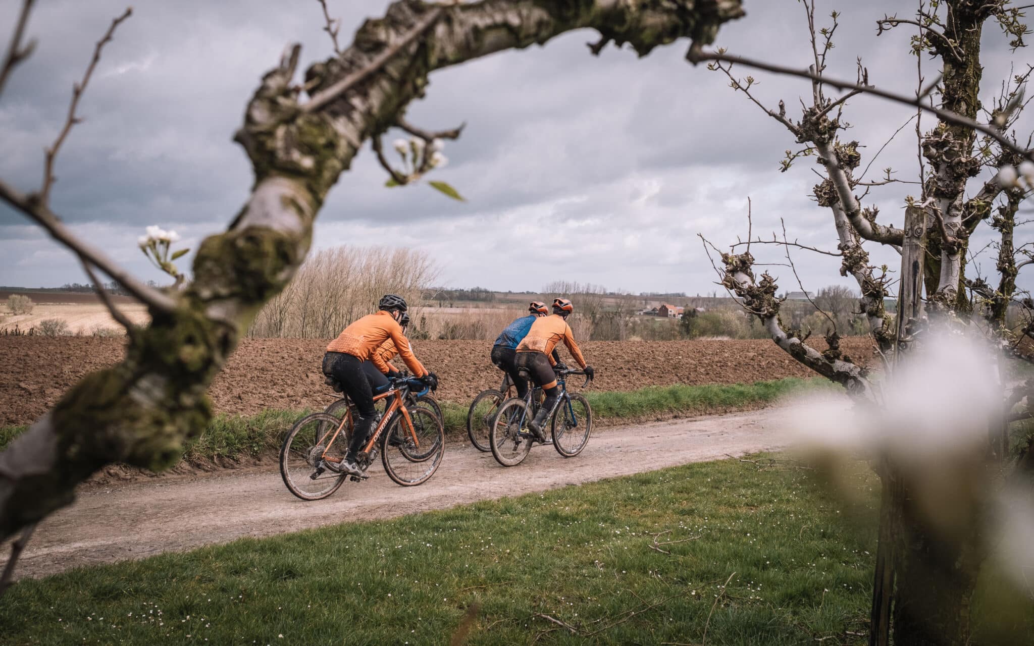 Ontdekking | Pallox gravelroute: door de bloesems van het Hageland