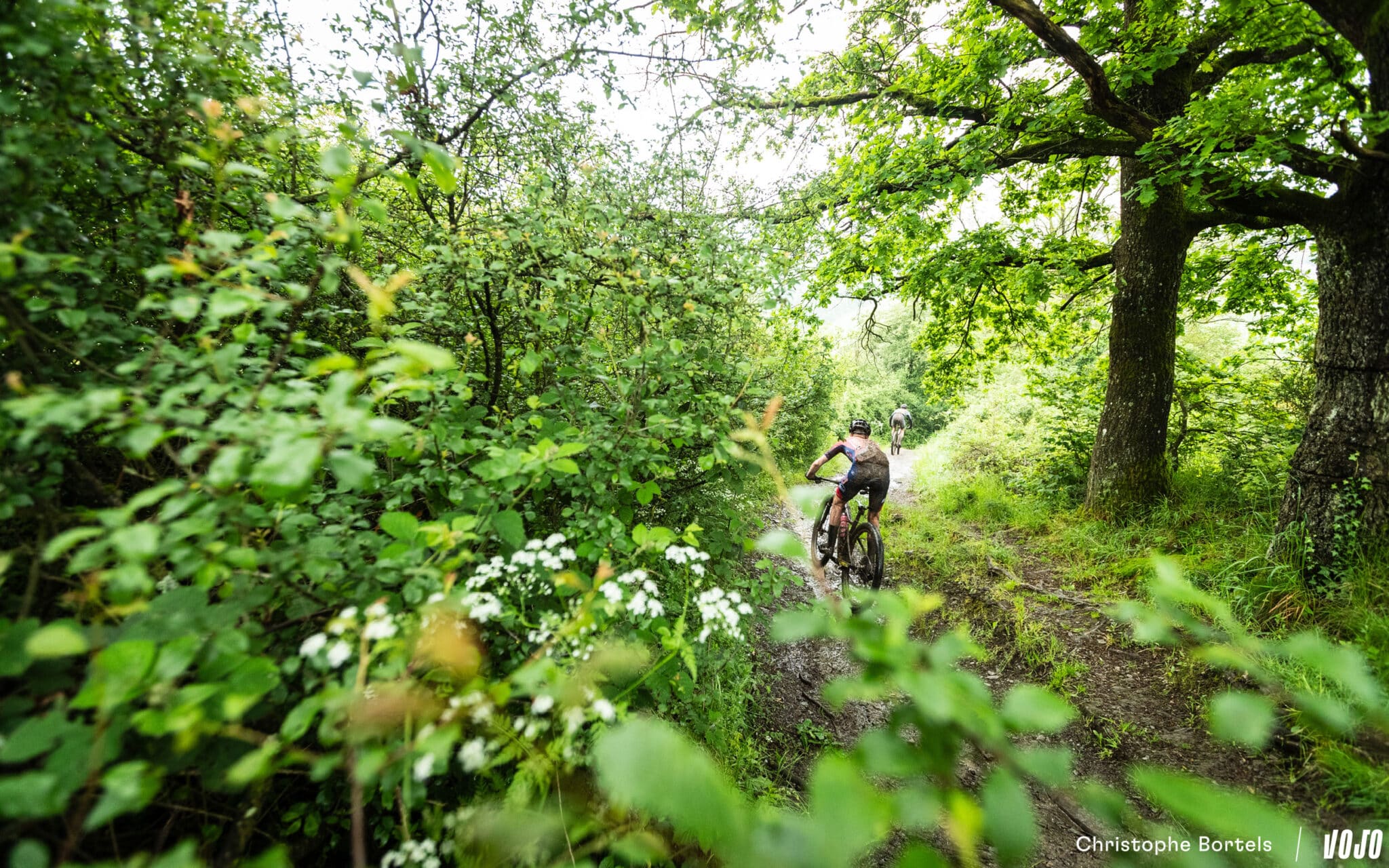 https://www.vojomag.nl/app/uploads/2024/05/Vojomag BAMS 2024 Ardennes Trophy 27 2048x1280.jpg
