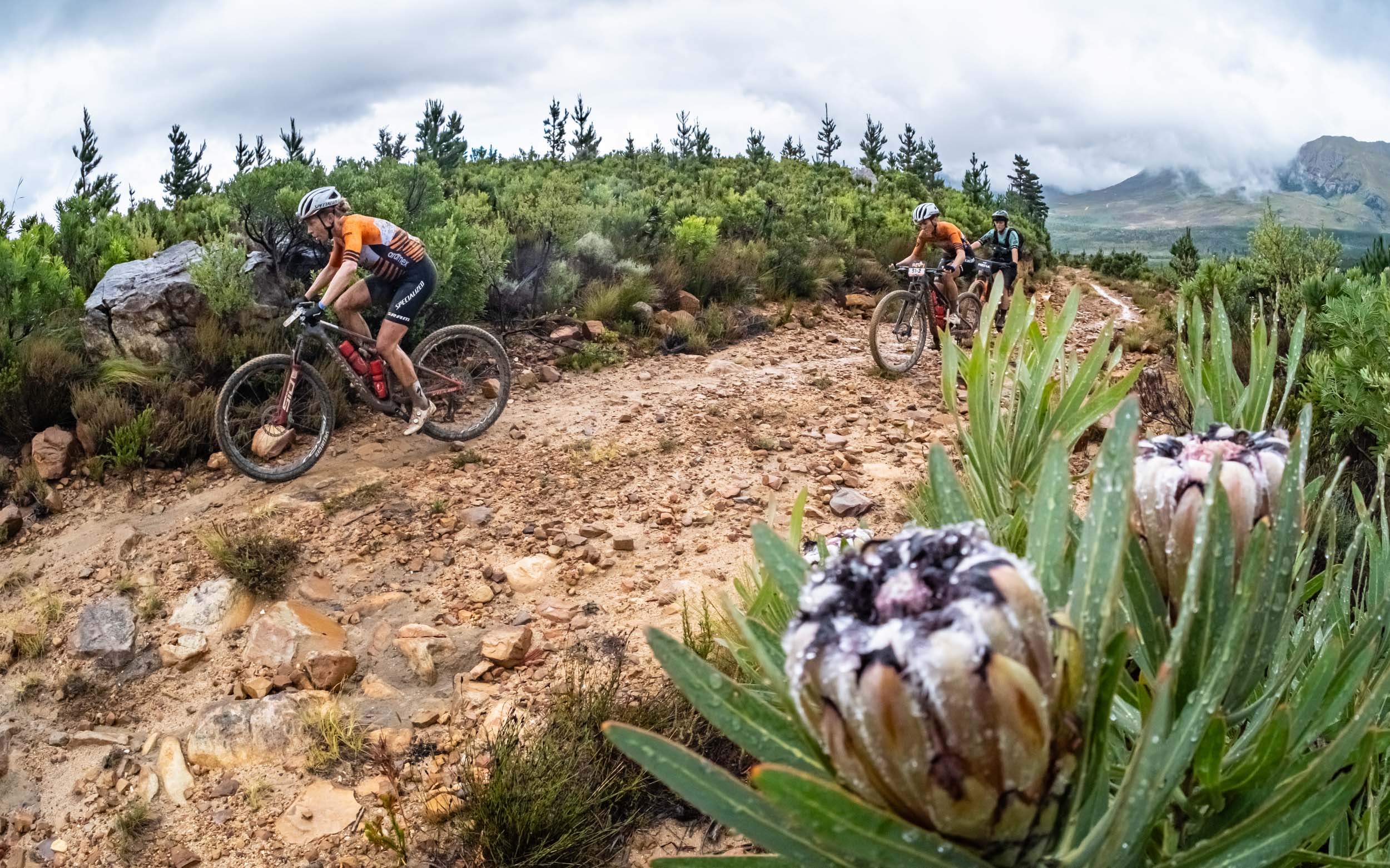 Photo by Dom Barnardt/Cape Epic