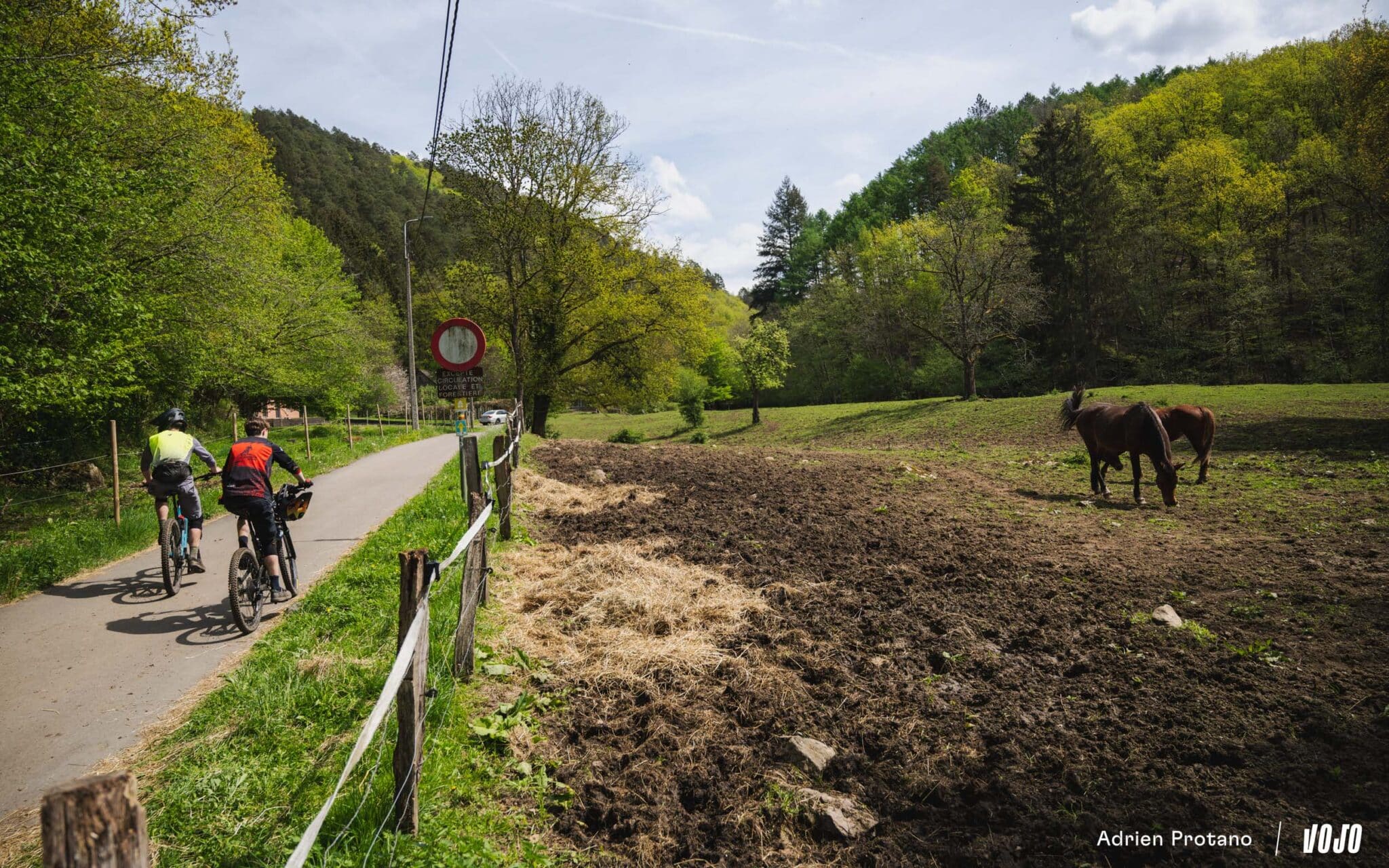 https://www.vojomag.nl/app/uploads/2025/04/Course BEC Ambleve 2025 A.Protano Vojo 1 30 2048x1280.jpg
