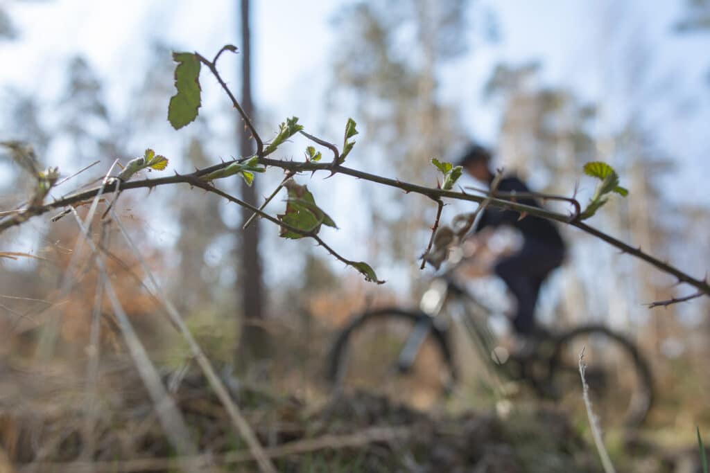 Ontdekking MTB-route Manhay: mountainbiken op het dak van België