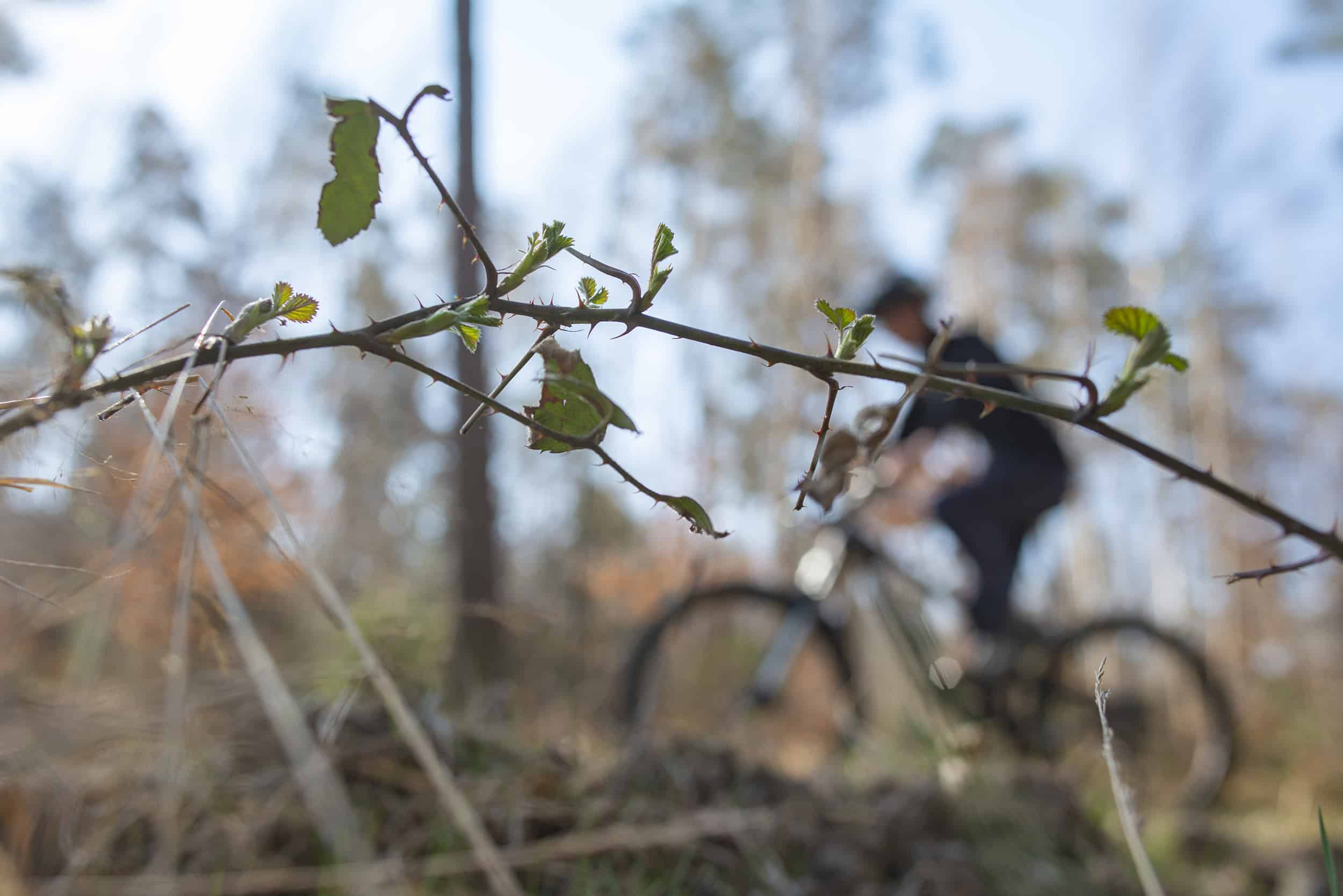 Ontdekking MTB-route Manhay: mountainbiken op het dak van België