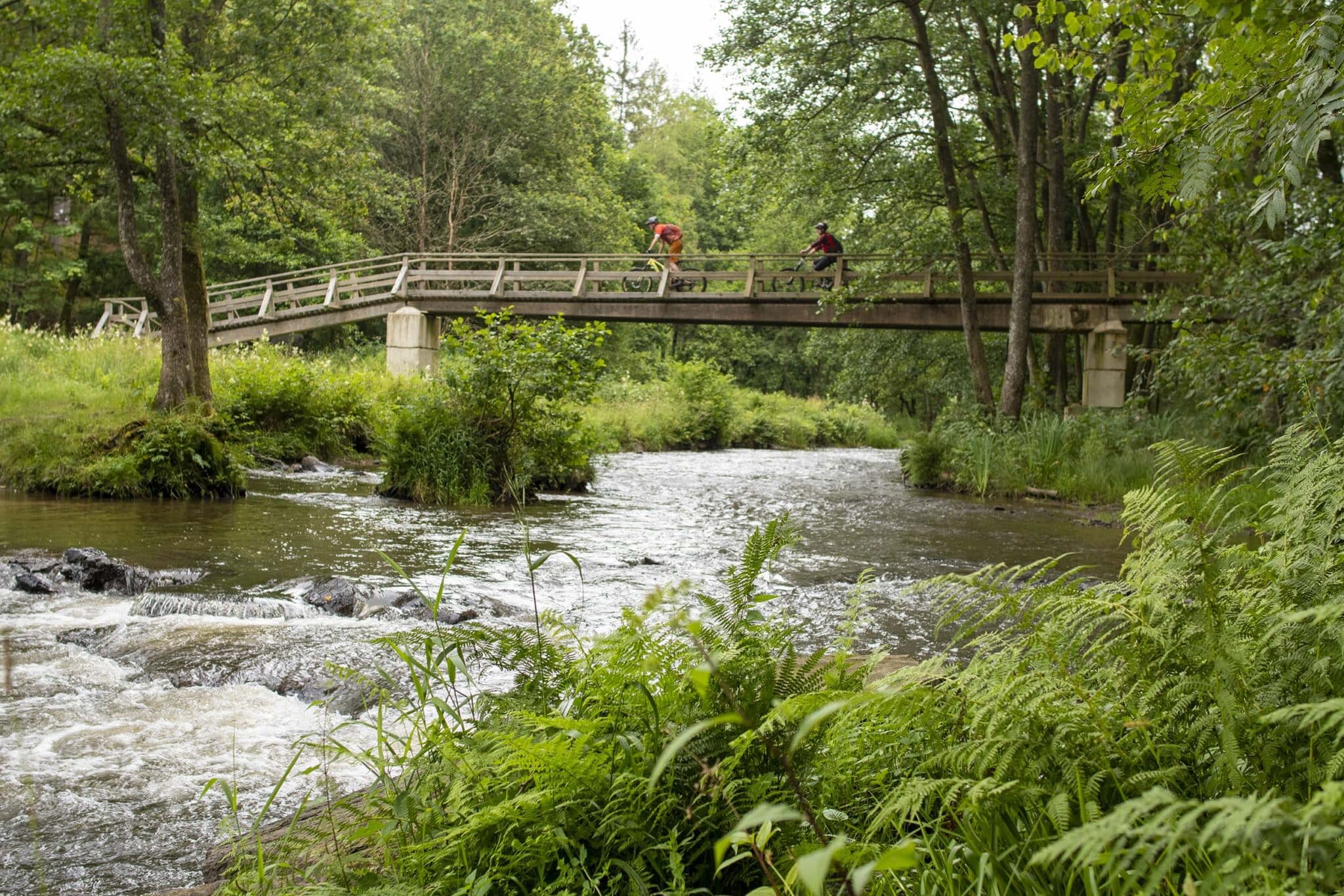 https://www.vojomag.nl/app/uploads/2025/05/Parcours VTT Cantons Est Ambleve 1363x2048.jpg