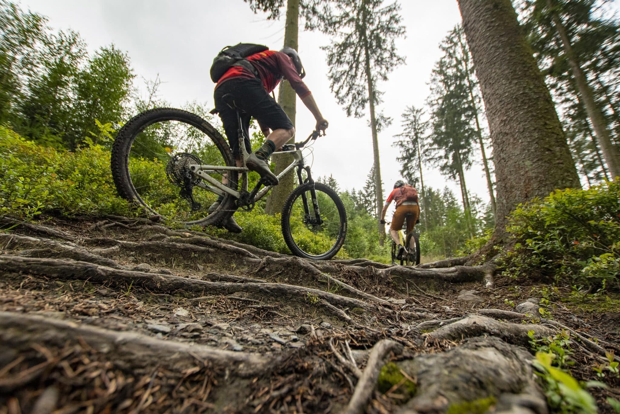 https://www.vojomag.nl/app/uploads/2025/05/Parcours VTT Cantons Est 11 2048x1366.jpg
