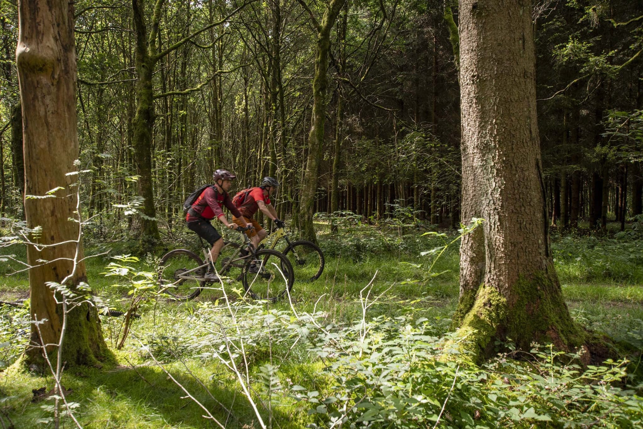 https://www.vojomag.nl/app/uploads/2025/05/Parcours VTT Cantons Est 11 2048x1366.jpg