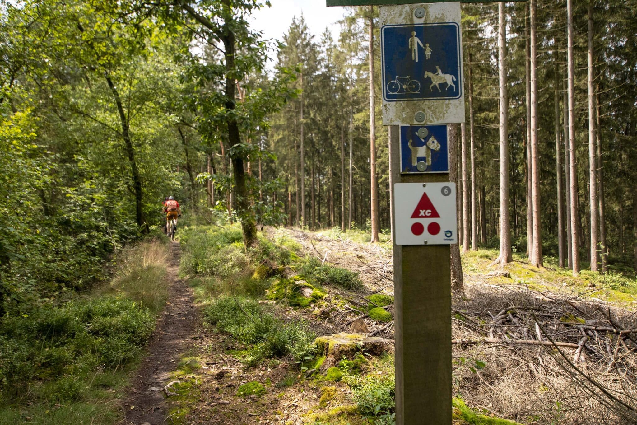 https://www.vojomag.nl/app/uploads/2025/05/Parcours VTT cantons est Our Dany 2 1366x2048.jpg