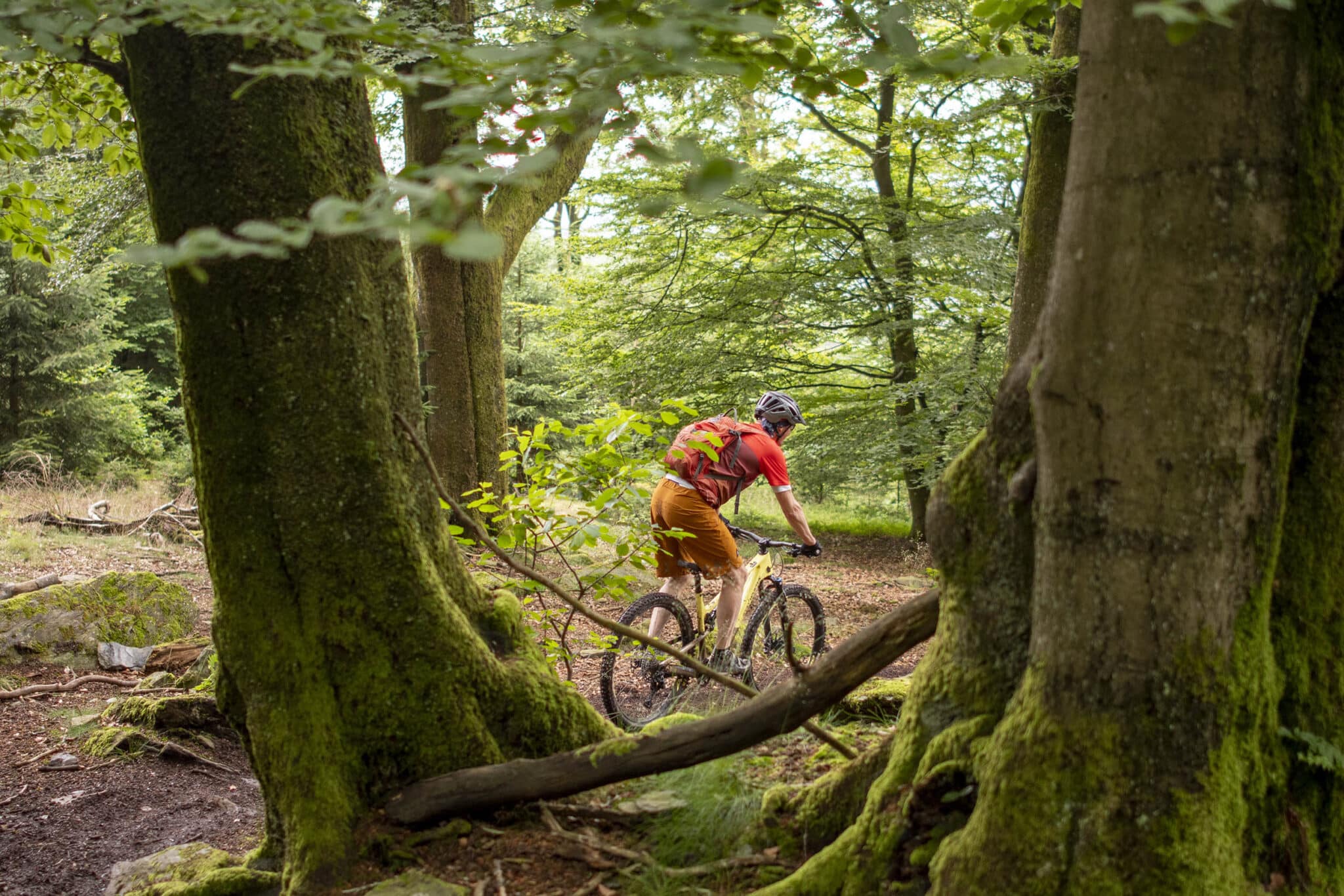 https://www.vojomag.nl/app/uploads/2025/05/Parcours VTT Cantons Est 8 2048x1366.jpg