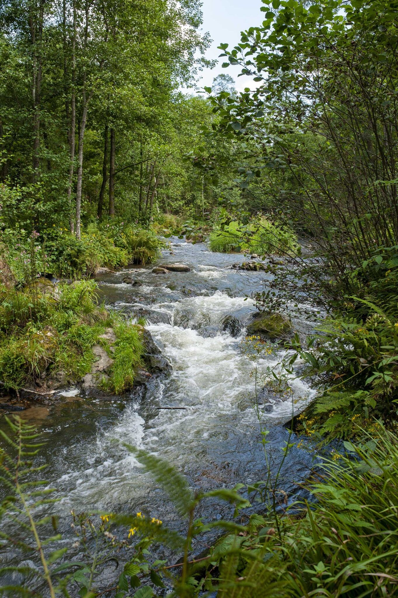 https://www.vojomag.nl/app/uploads/2025/05/Parcours VTT Cantons Est Ambleve 1363x2048.jpg