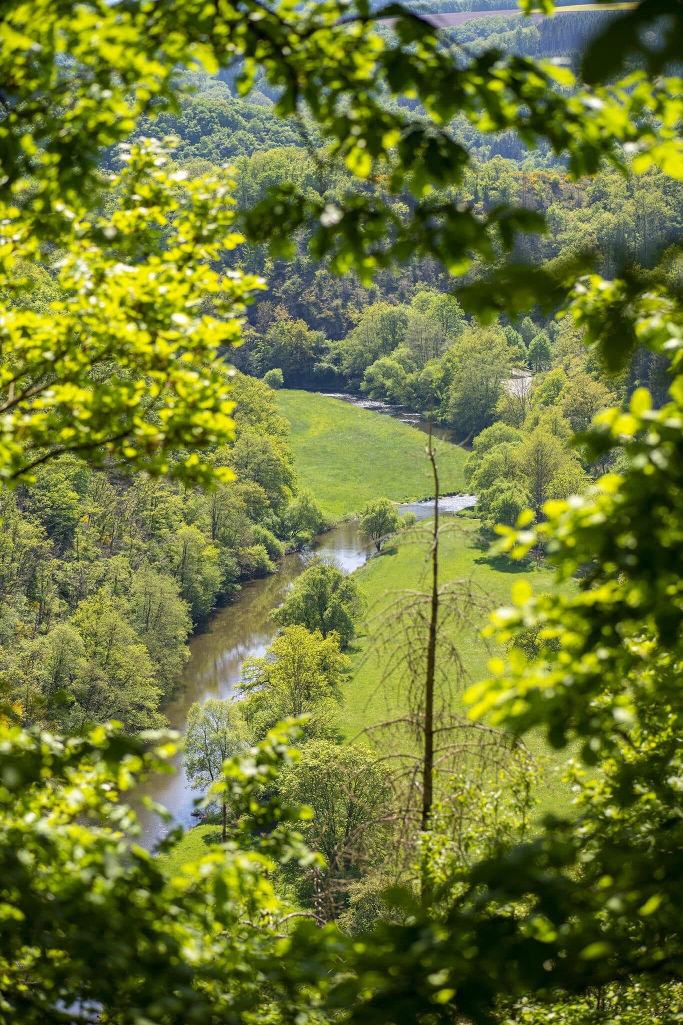https://www.vojomag.nl/app/uploads/2025/05/Parcours VTT Cantons est vallee our 1366x2048.jpg