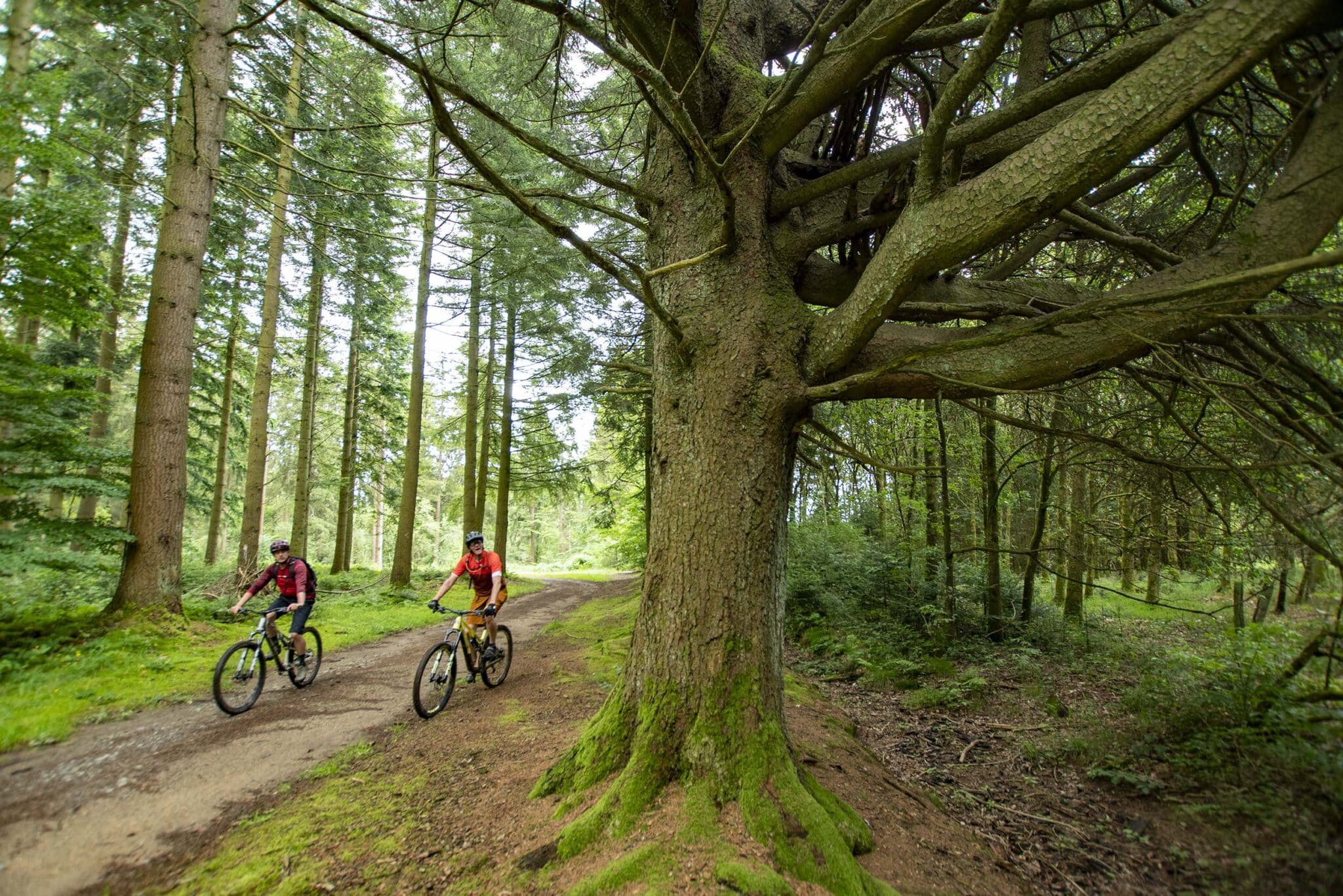 https://www.vojomag.nl/app/uploads/2025/05/Parcours VTT cantons est Our 3 1366x2048.jpg