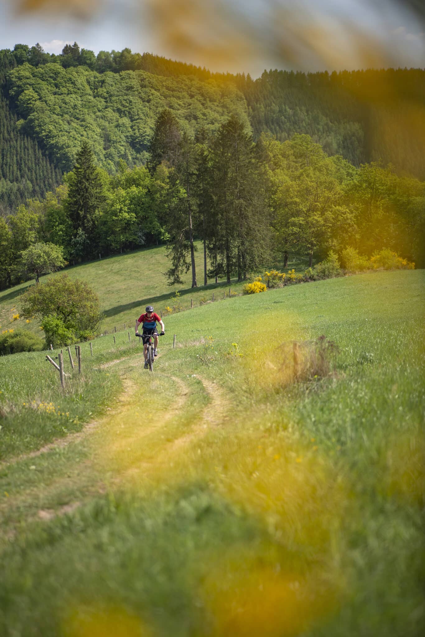 https://www.vojomag.nl/app/uploads/2025/05/Parcours VTT cantons est Our 3 1366x2048.jpg