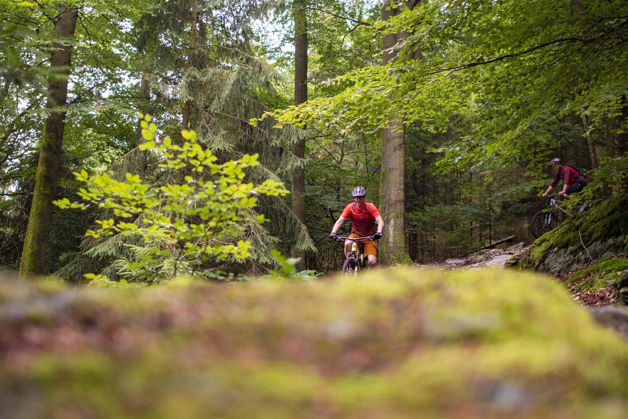 https://www.vojomag.nl/app/uploads/2025/05/Parcours VTT cantons est Our 4 2048x1366.jpg